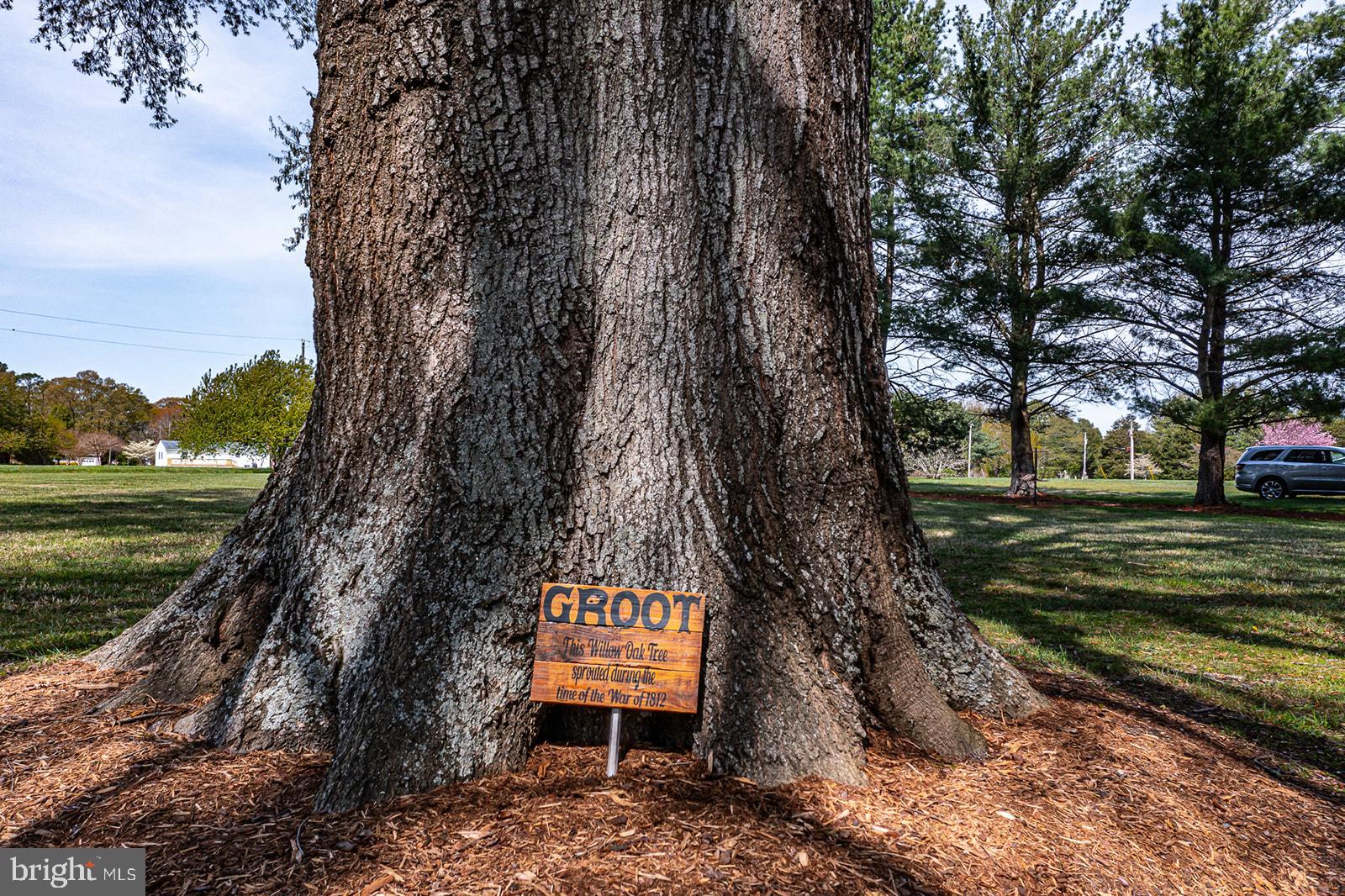 150 EAST HARBOR DRIVE