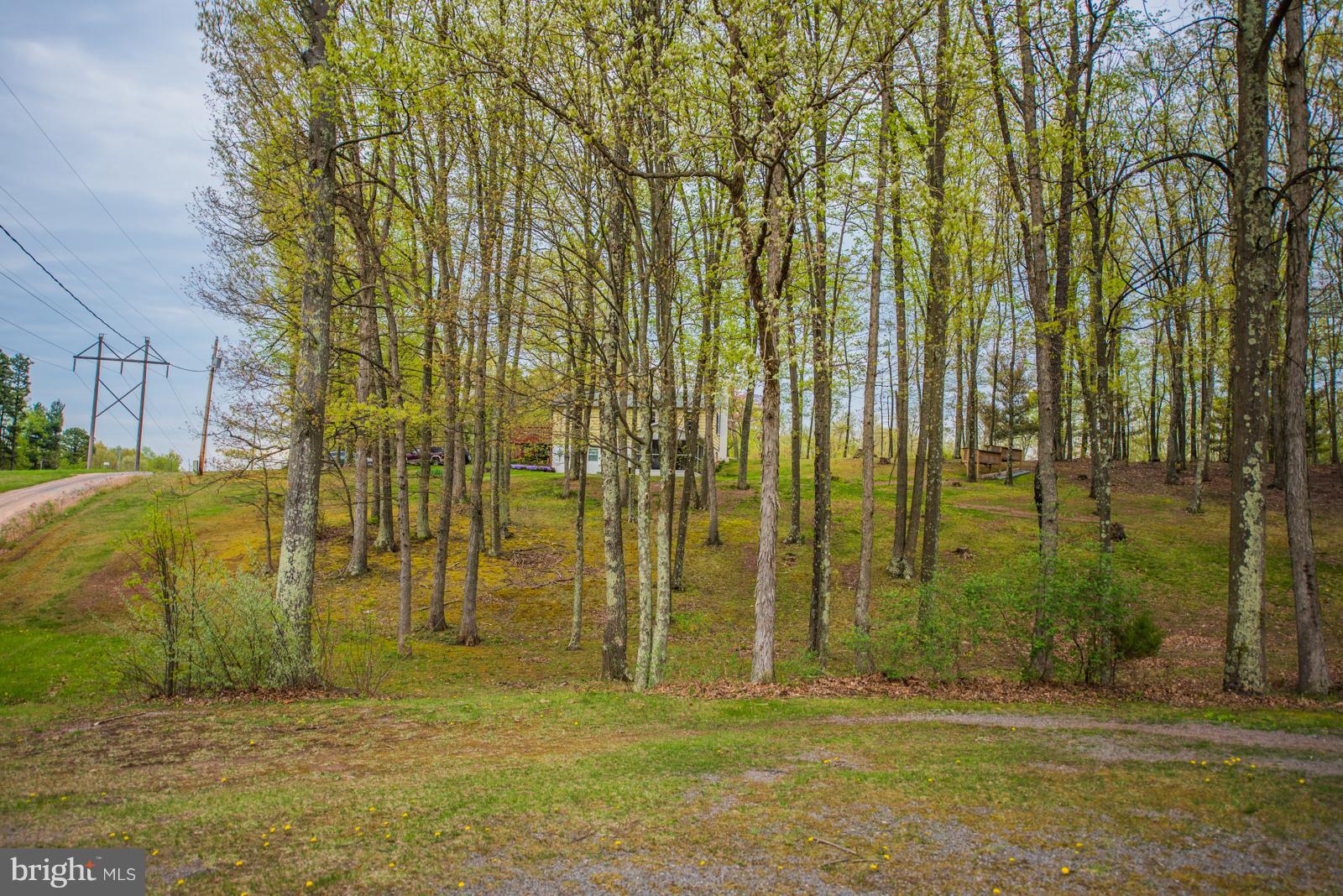 WILLETT RUN - Residential