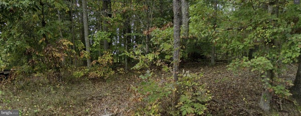 17214 BATESTOWN RD, DUMFRIES, VA 22025 - Image f2a5a2d4ed04403d9c4658ccdc176370/95050198