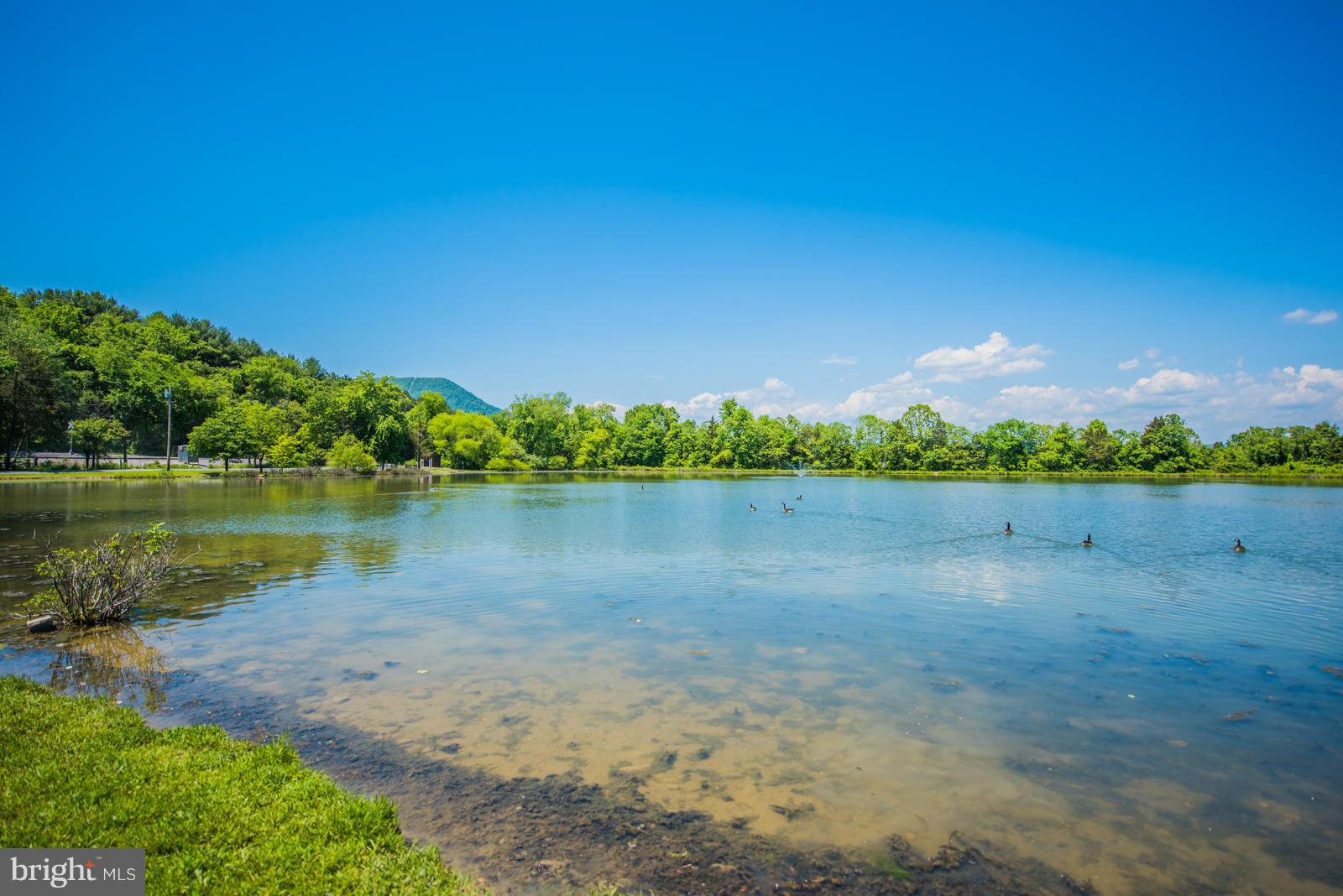 SHEN RIVER LAKES - Residential