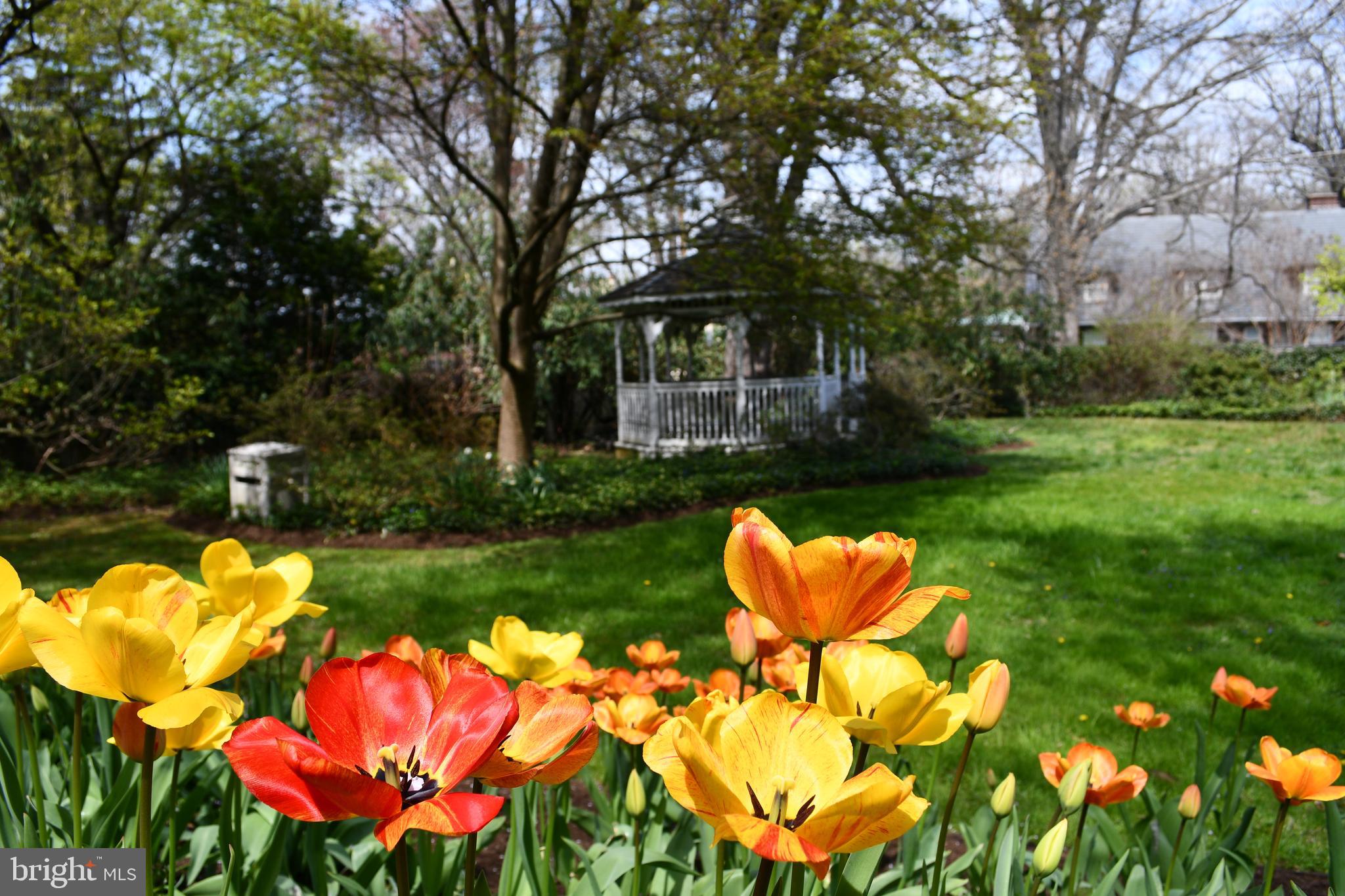 ROLAND PARK - Residential