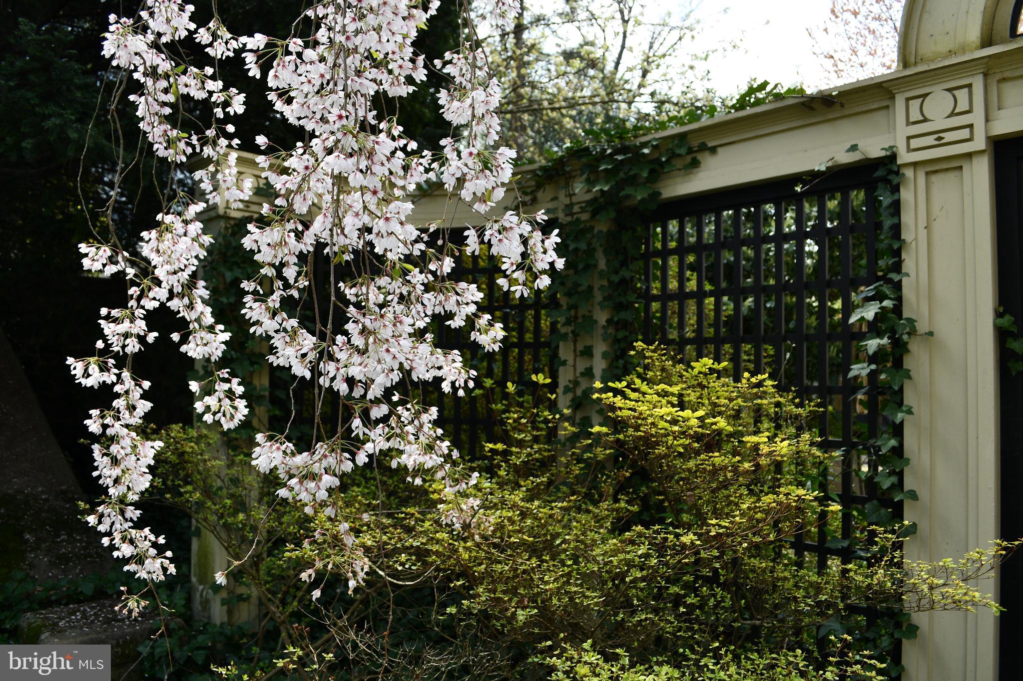 ROLAND PARK - Residential