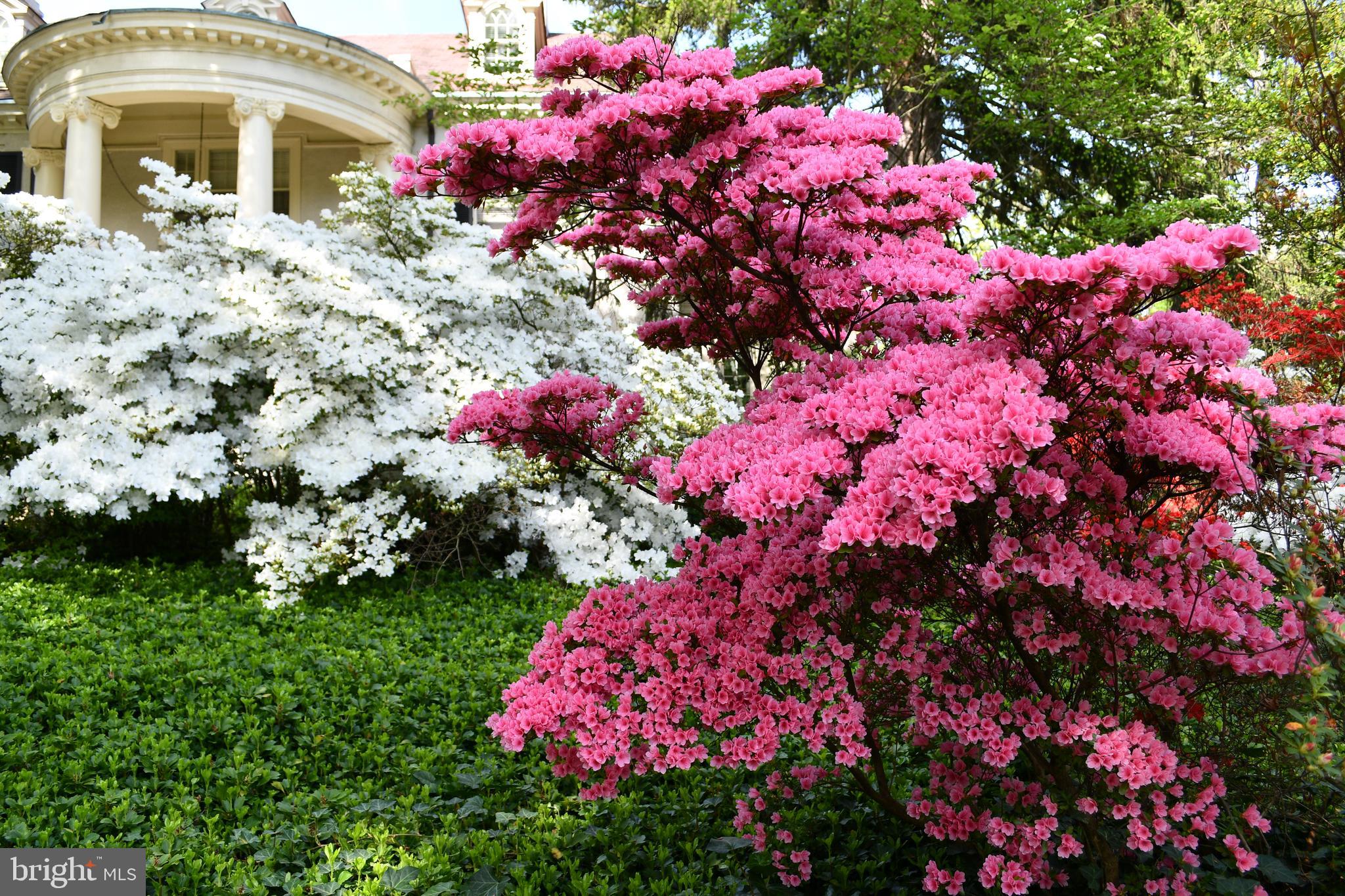 ROLAND PARK - Residential