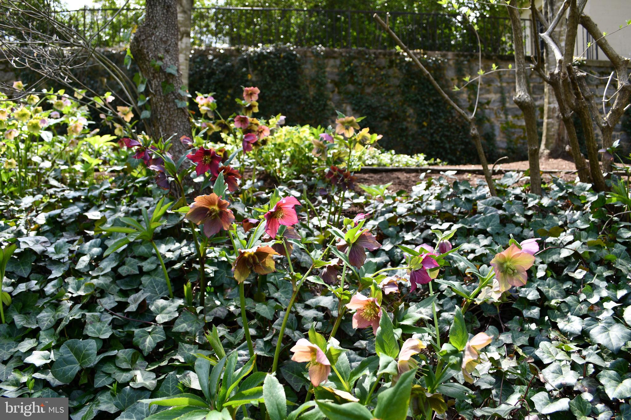 ROLAND PARK - Residential