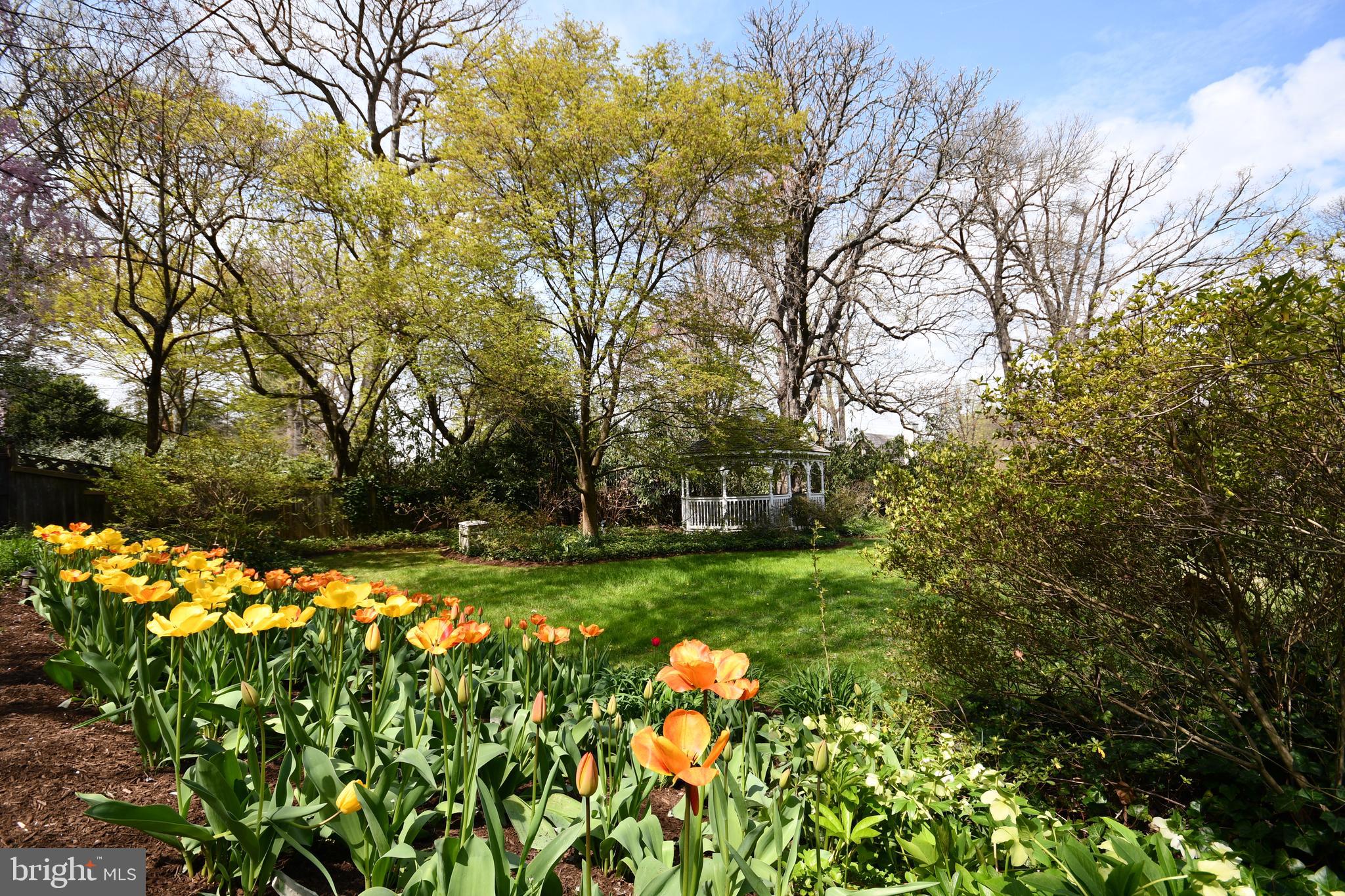 ROLAND PARK - Residential