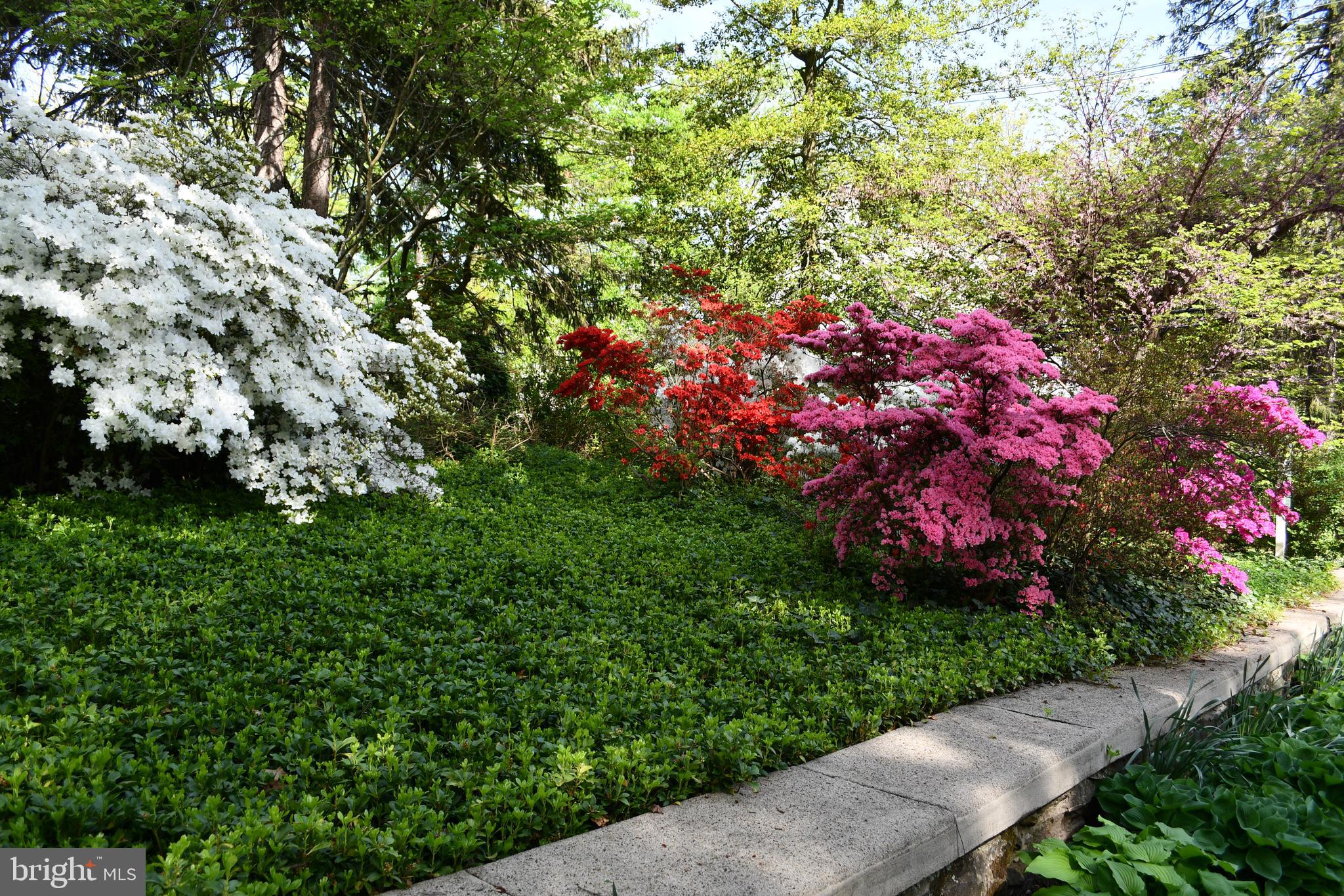 ROLAND PARK - Residential