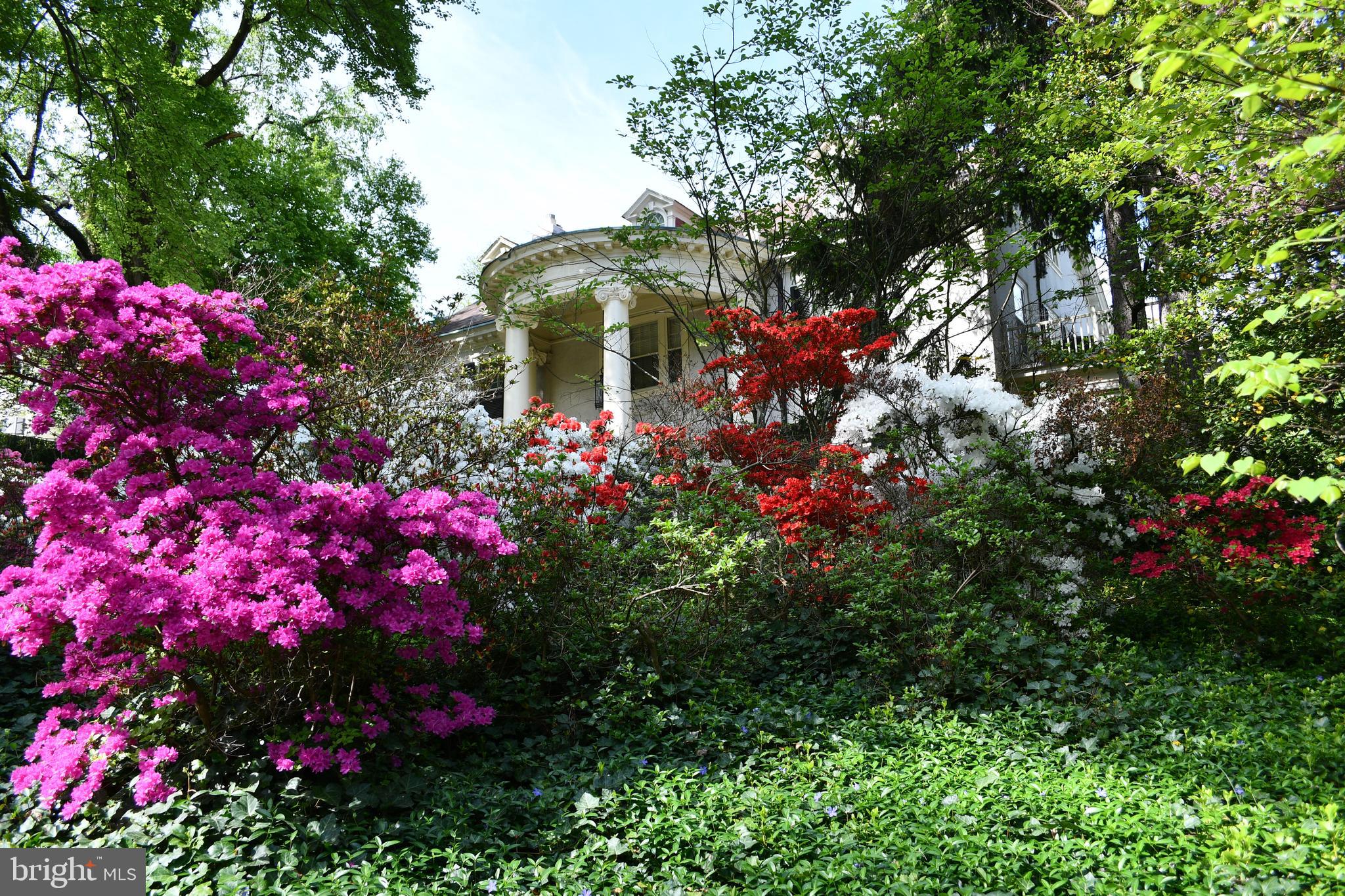 ROLAND PARK - Residential