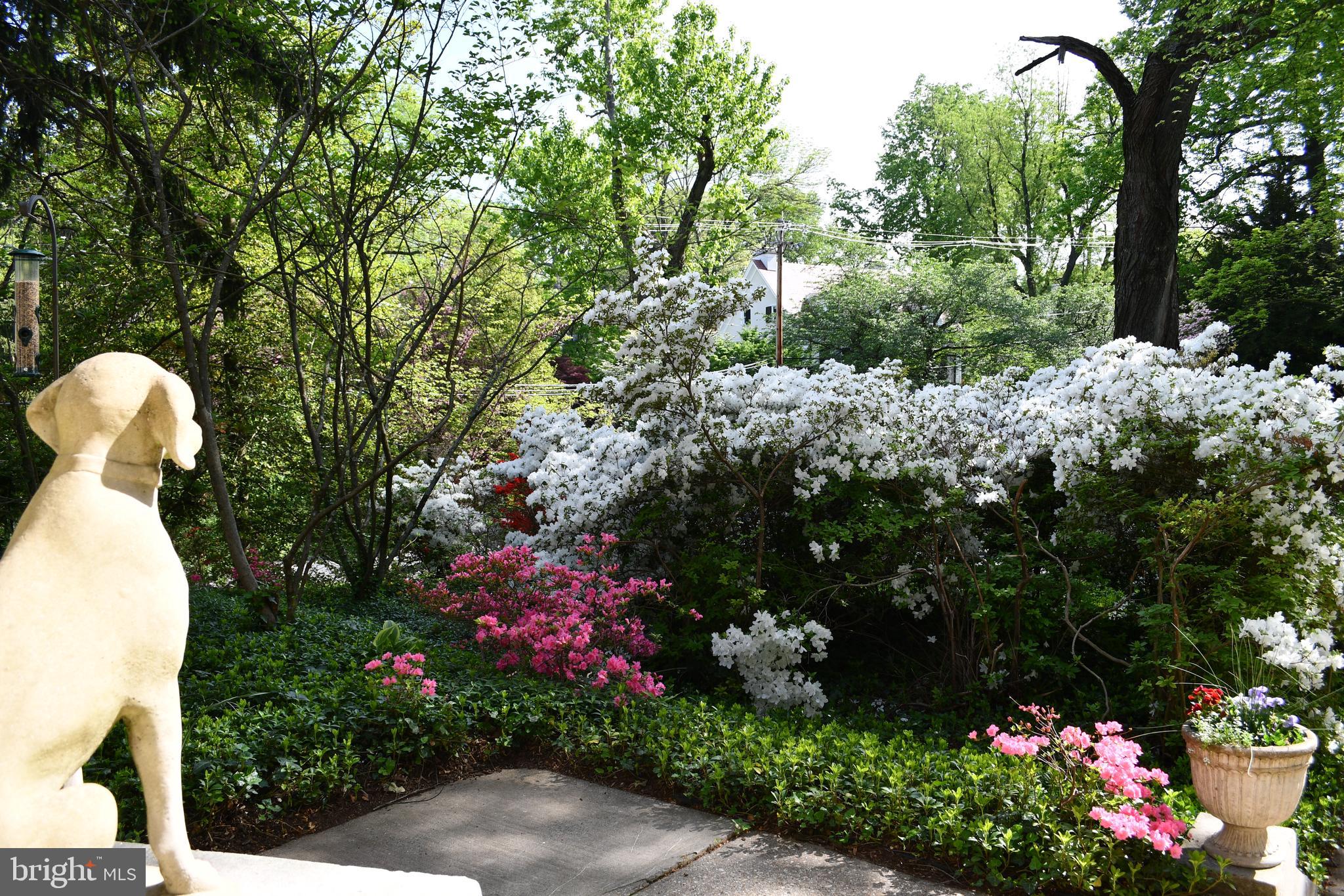 ROLAND PARK - Residential