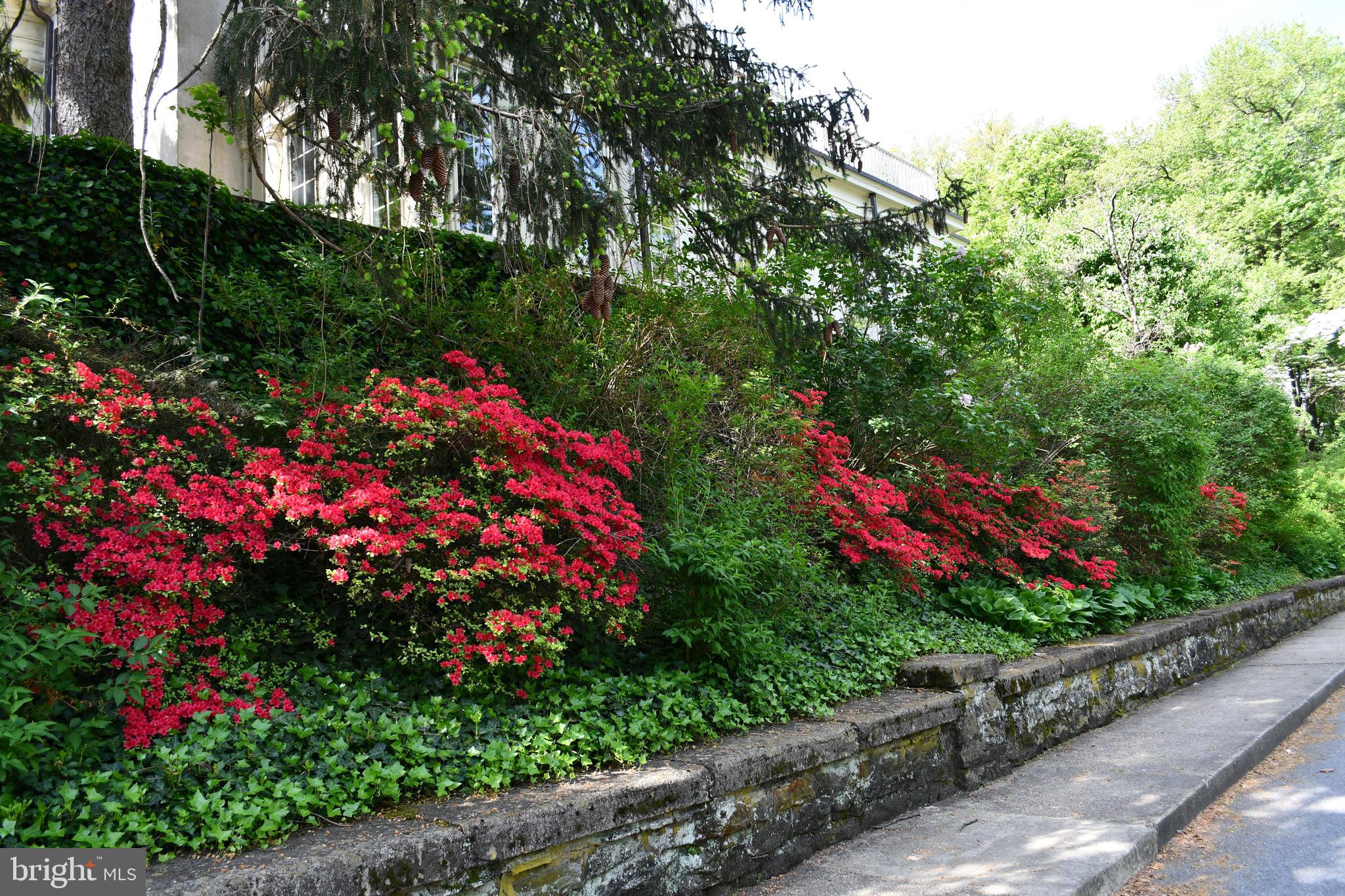 ROLAND PARK - Residential