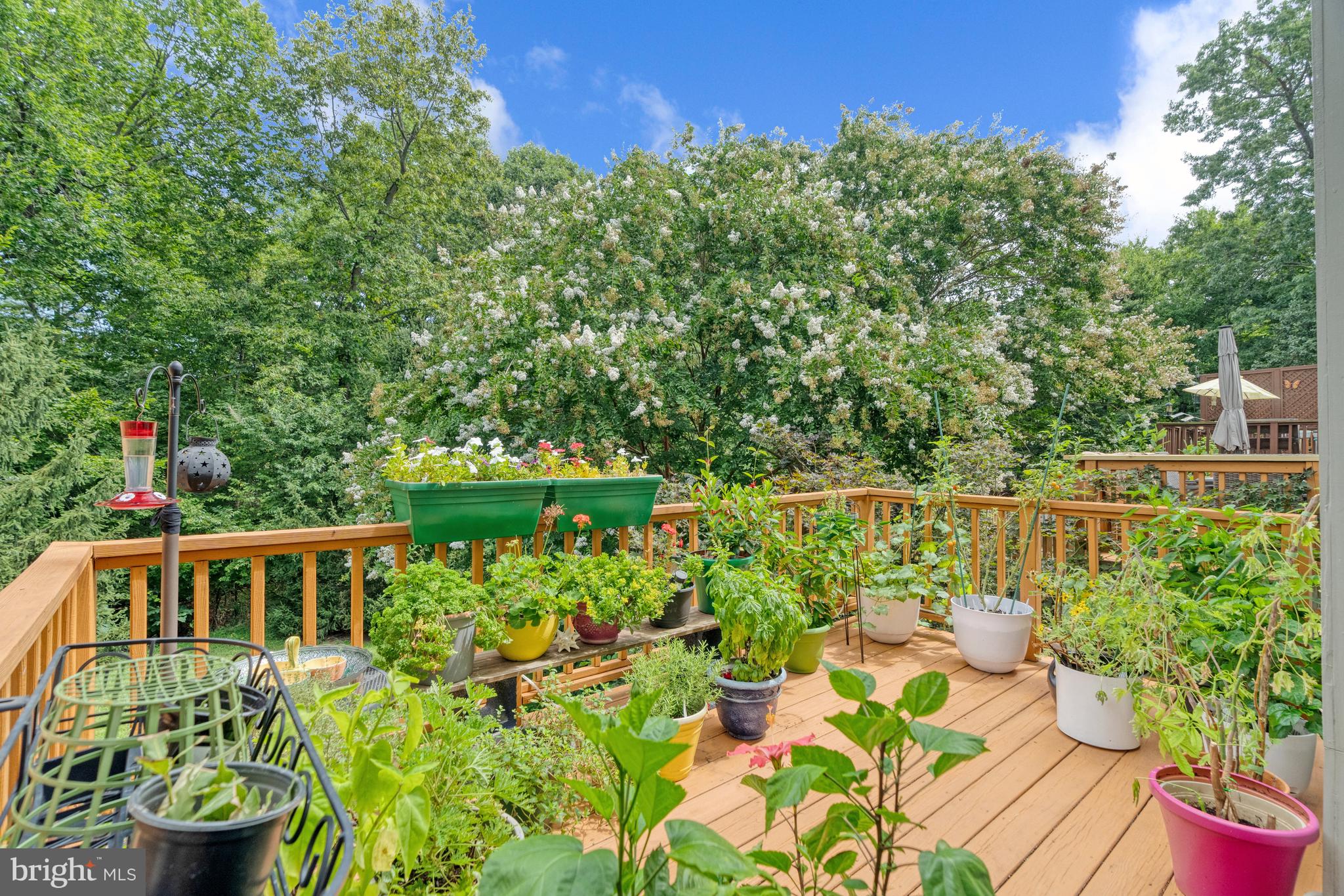 LOWES ISLAND/CASCADES - Residential