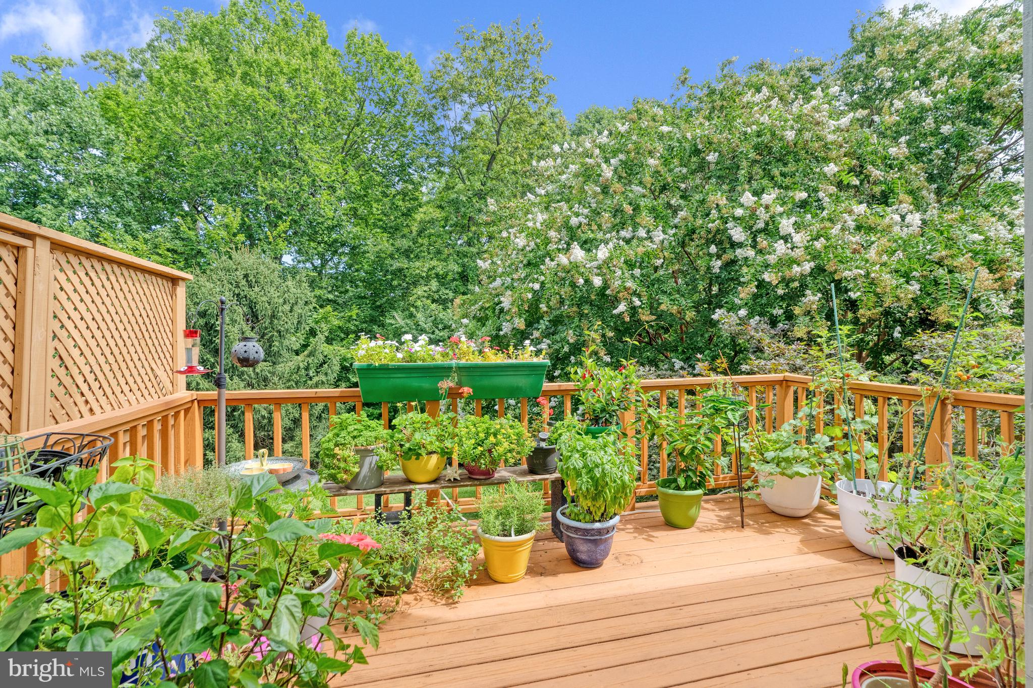 LOWES ISLAND/CASCADES - Residential