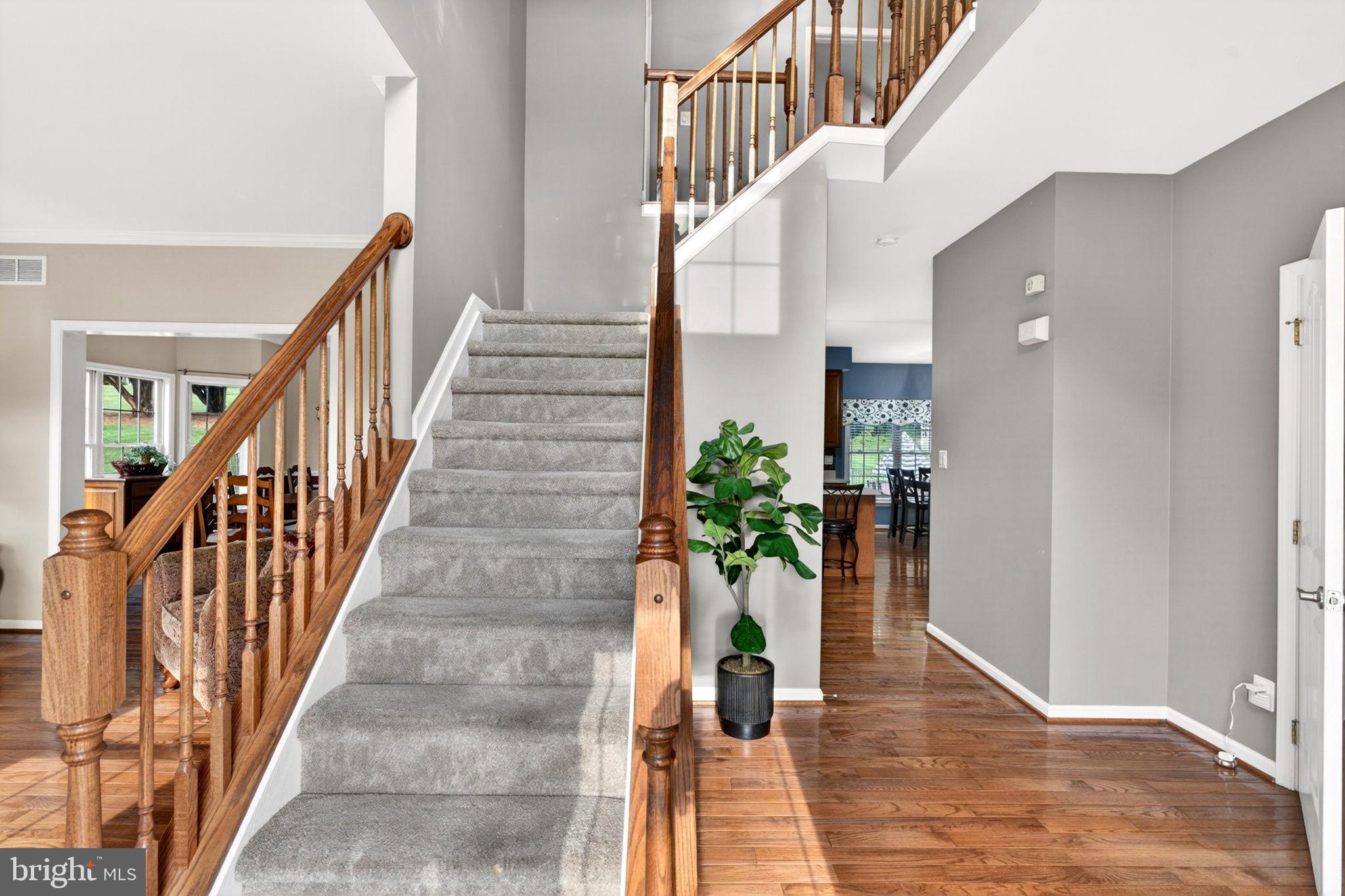 MAXA MEADOWS - Residential