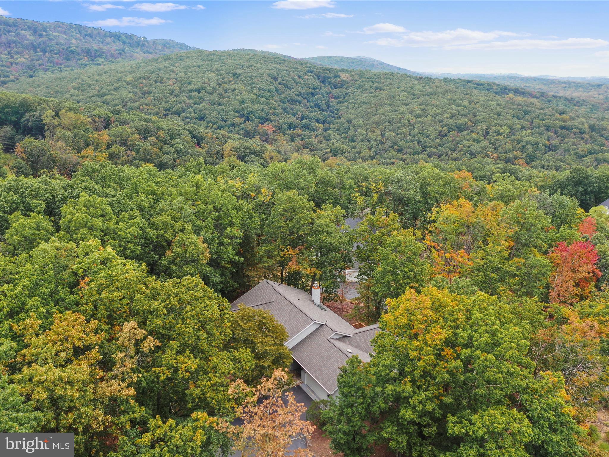 THE WOODS - Residential