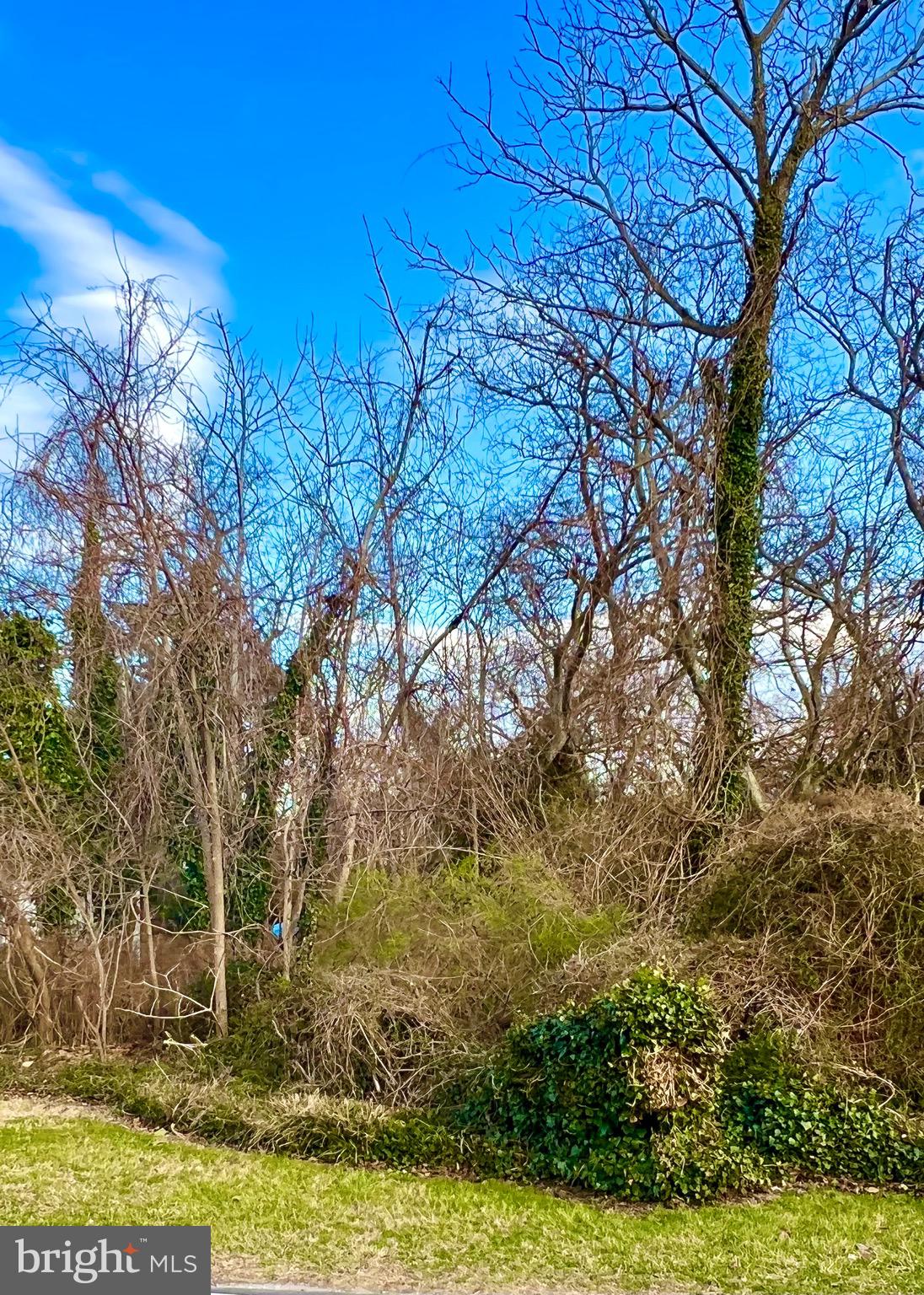 Lot 79 NEW ROAD