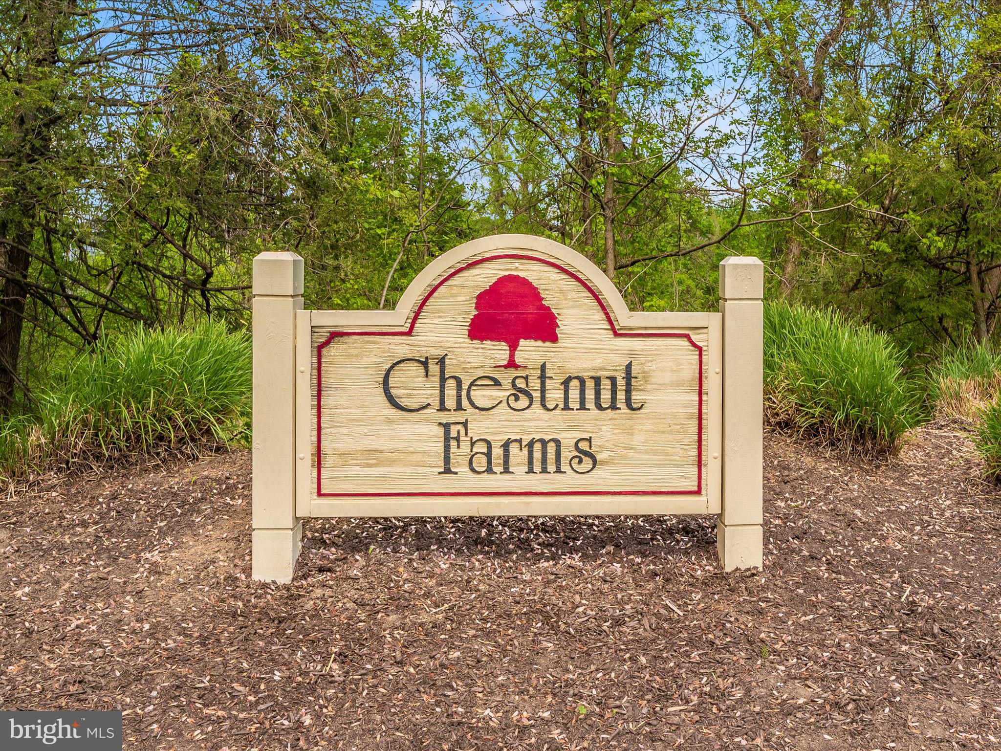 CHESTNUT FARMS - Residential