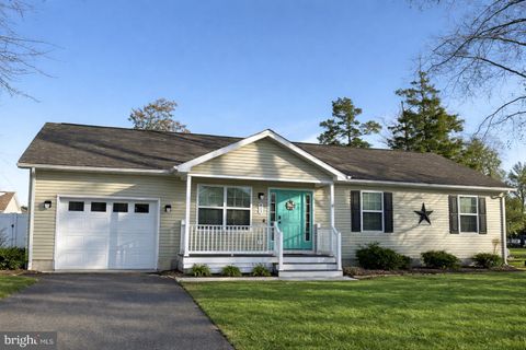 413 QUEEN ANNE STREET DAGSBORO DE 19939