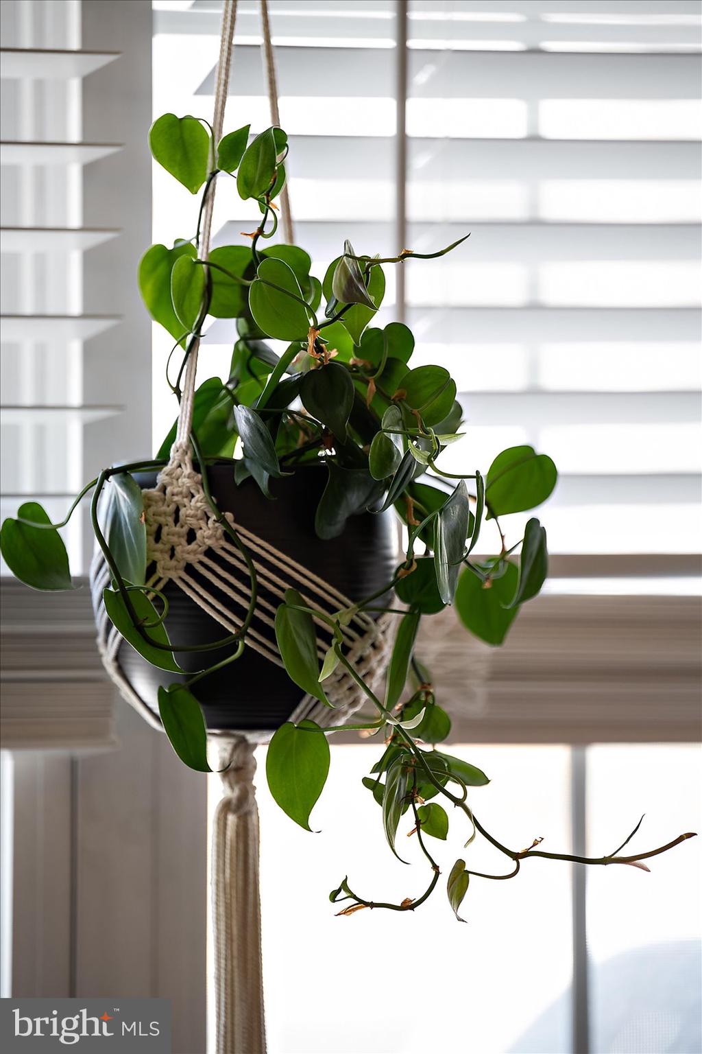 413 QUEEN ANNE STREET