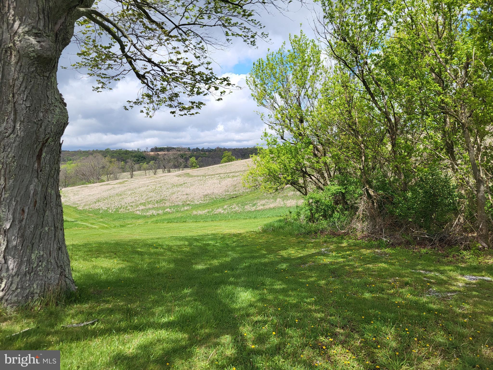 BEDFORD COUNTY - Farm
