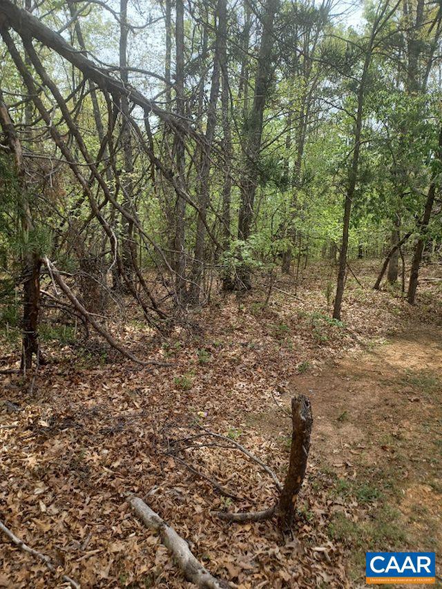 SHENANDOAH CROSSING - Land