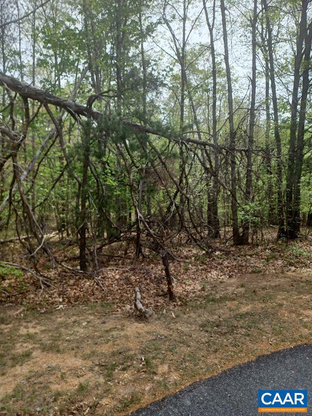 SHENANDOAH CROSSING - Land