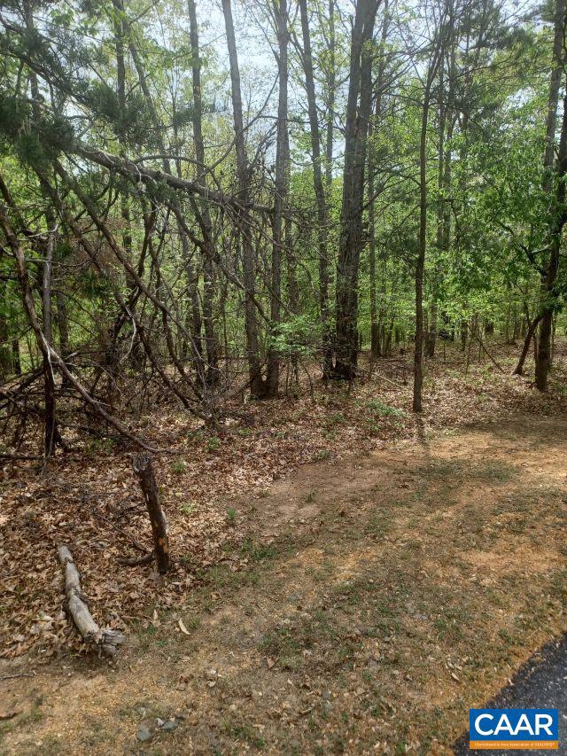 SHENANDOAH CROSSING - Land