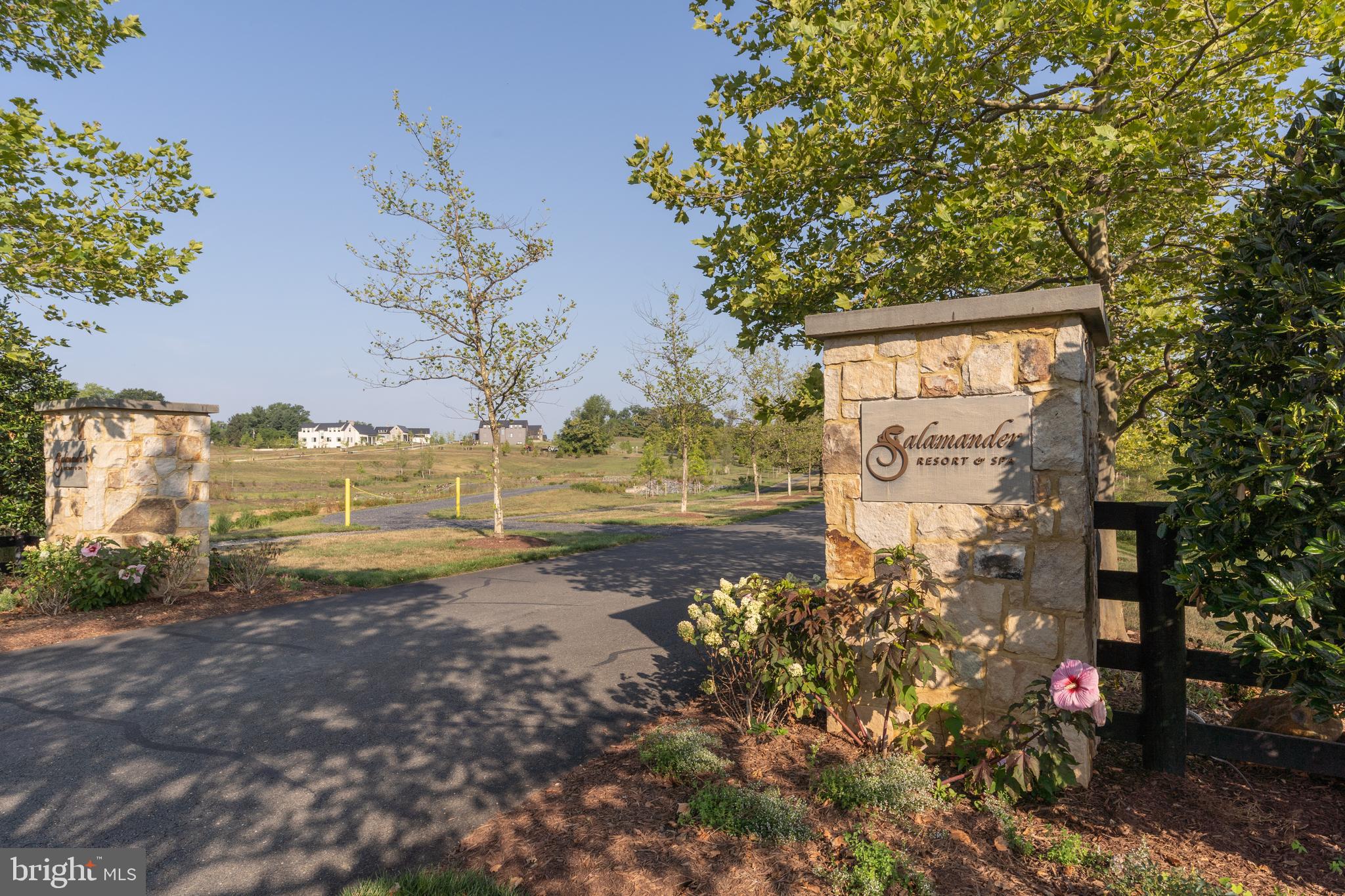 RESIDENCES AT SALAMANDER - Residential