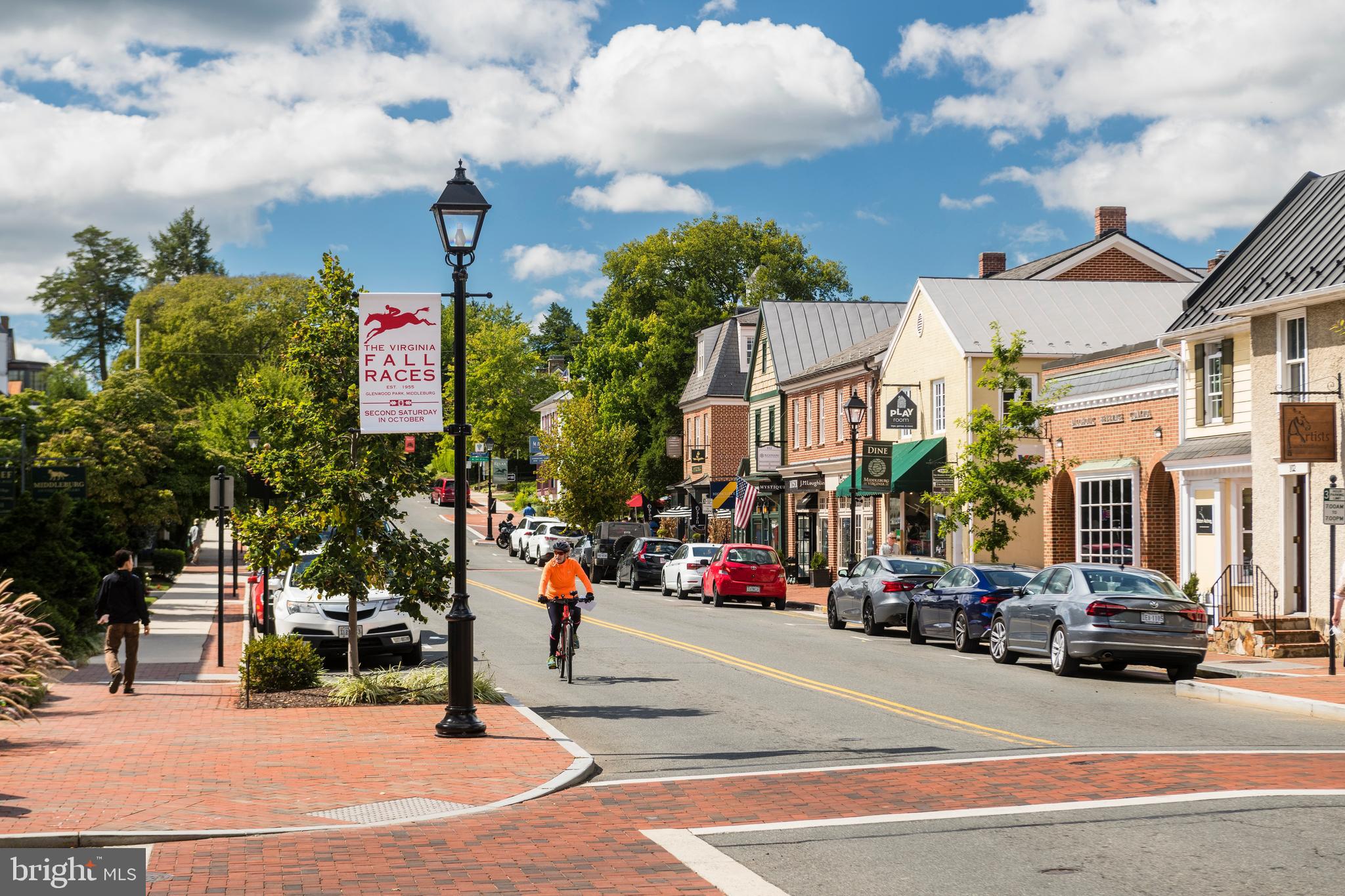RESIDENCES AT SALAMANDER - Residential