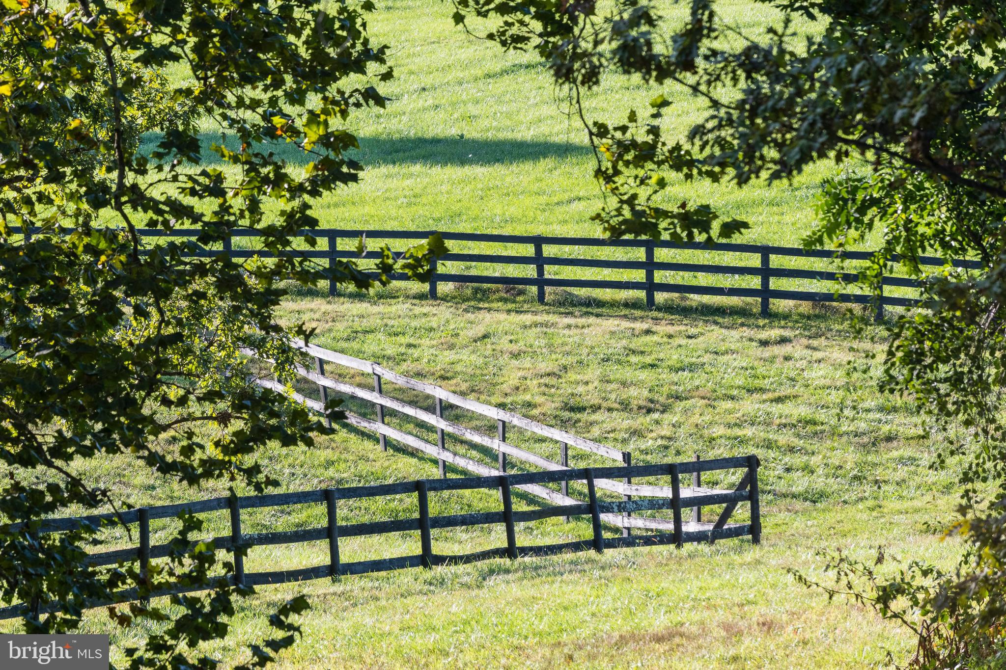 RESIDENCES AT SALAMANDER - Residential