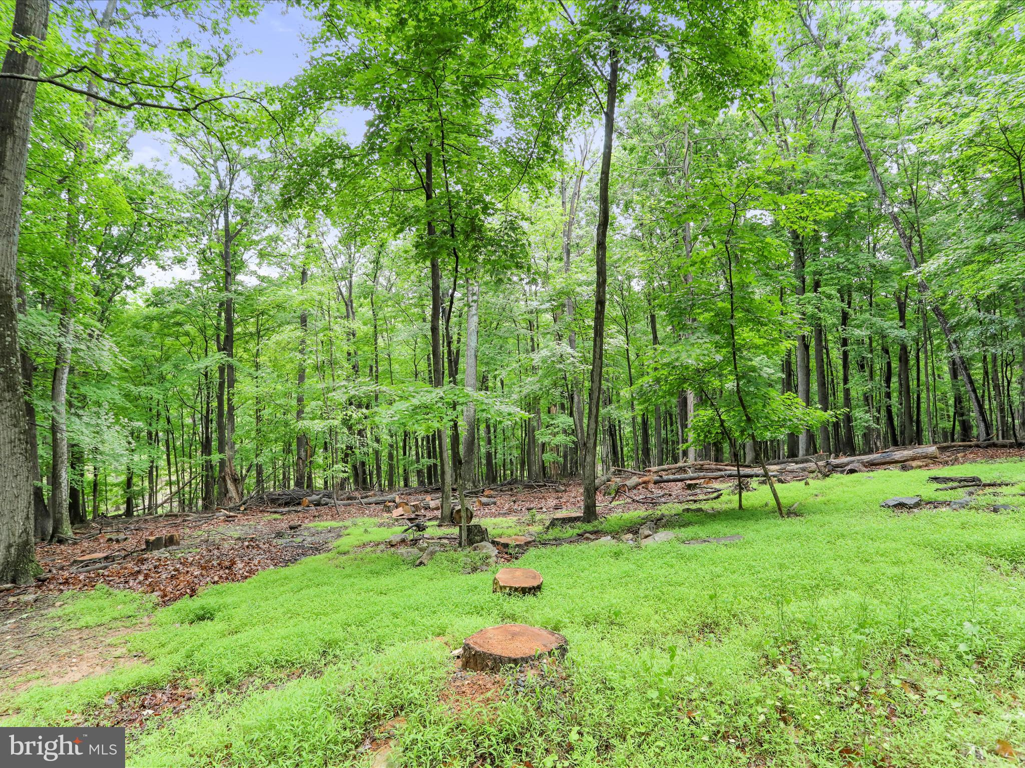 THUNDERBIRD HILLS - Residential