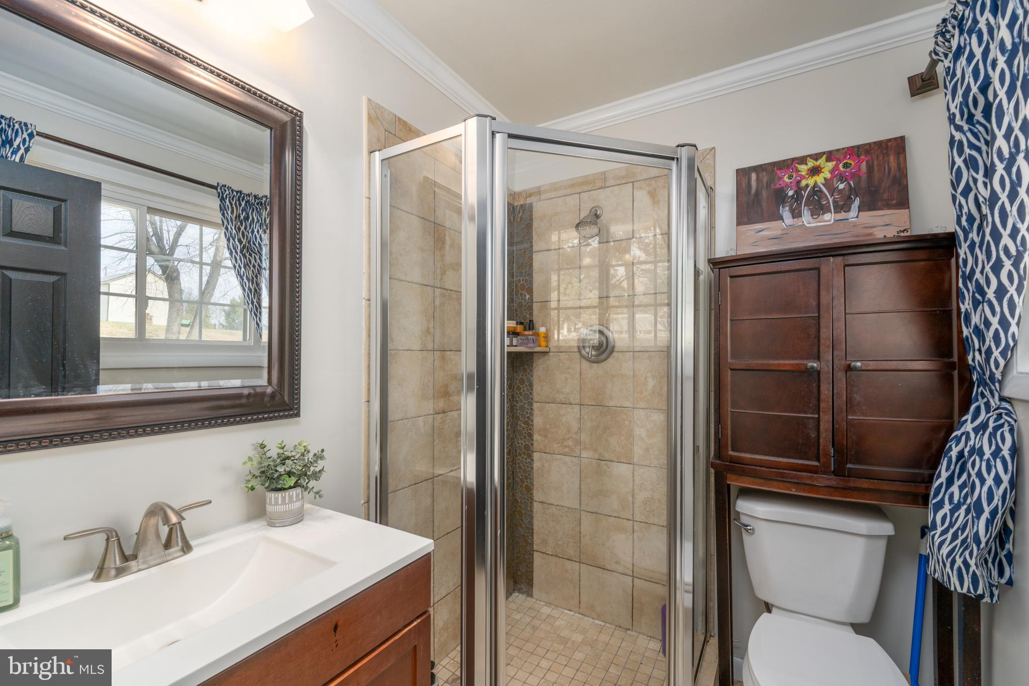 CHESTNUT HILL - Residential