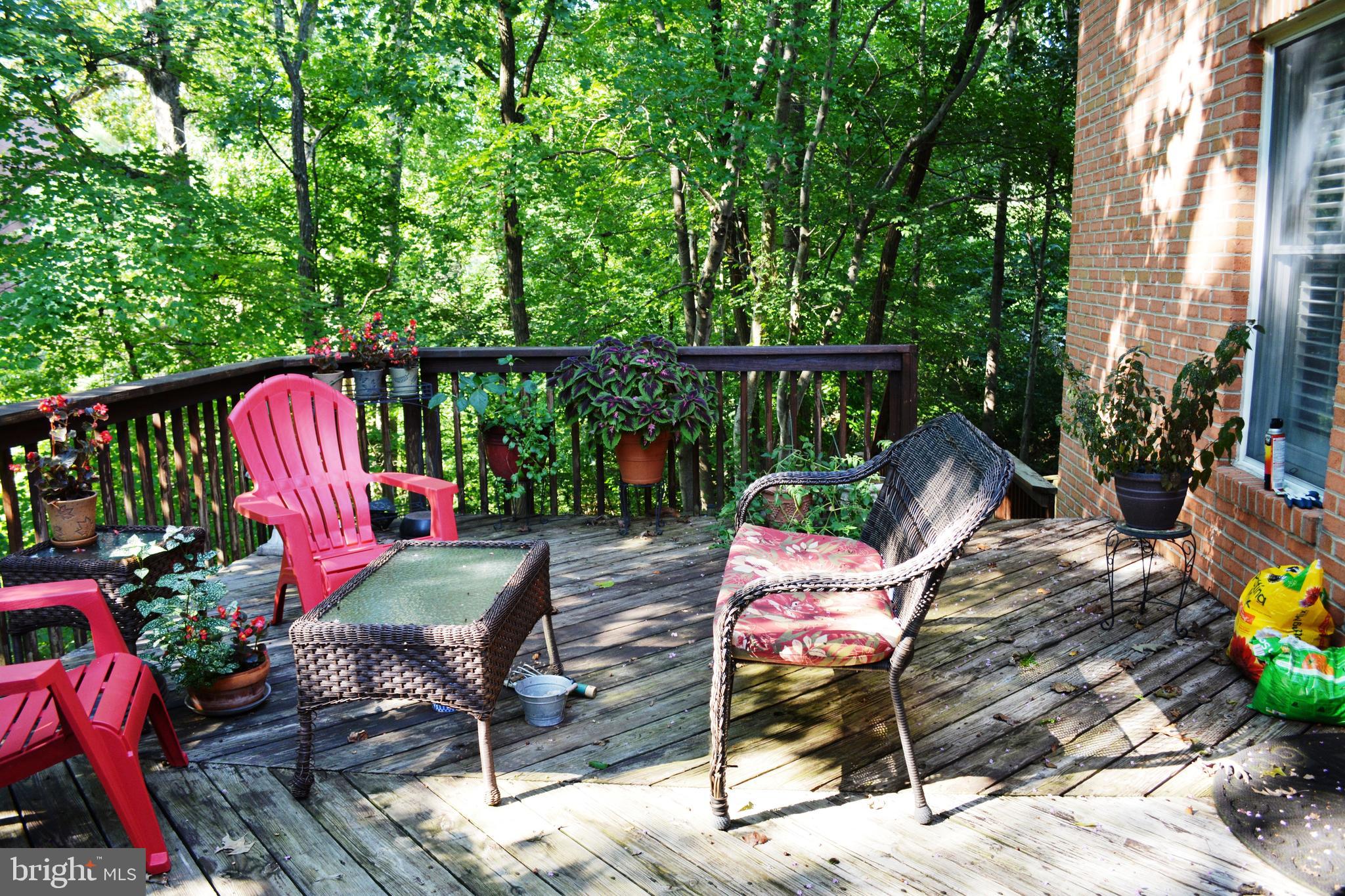 HICKORY RIDGE LA PLATA - Residential