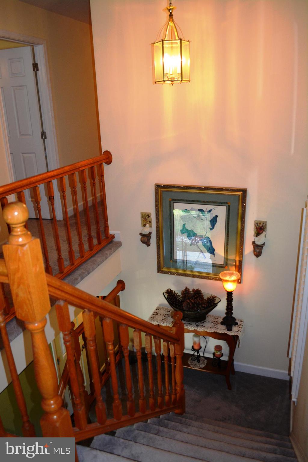 HICKORY RIDGE LA PLATA - Residential