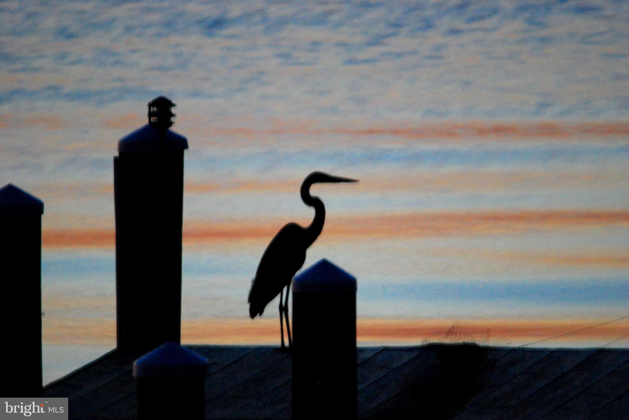 MADISON - Residential