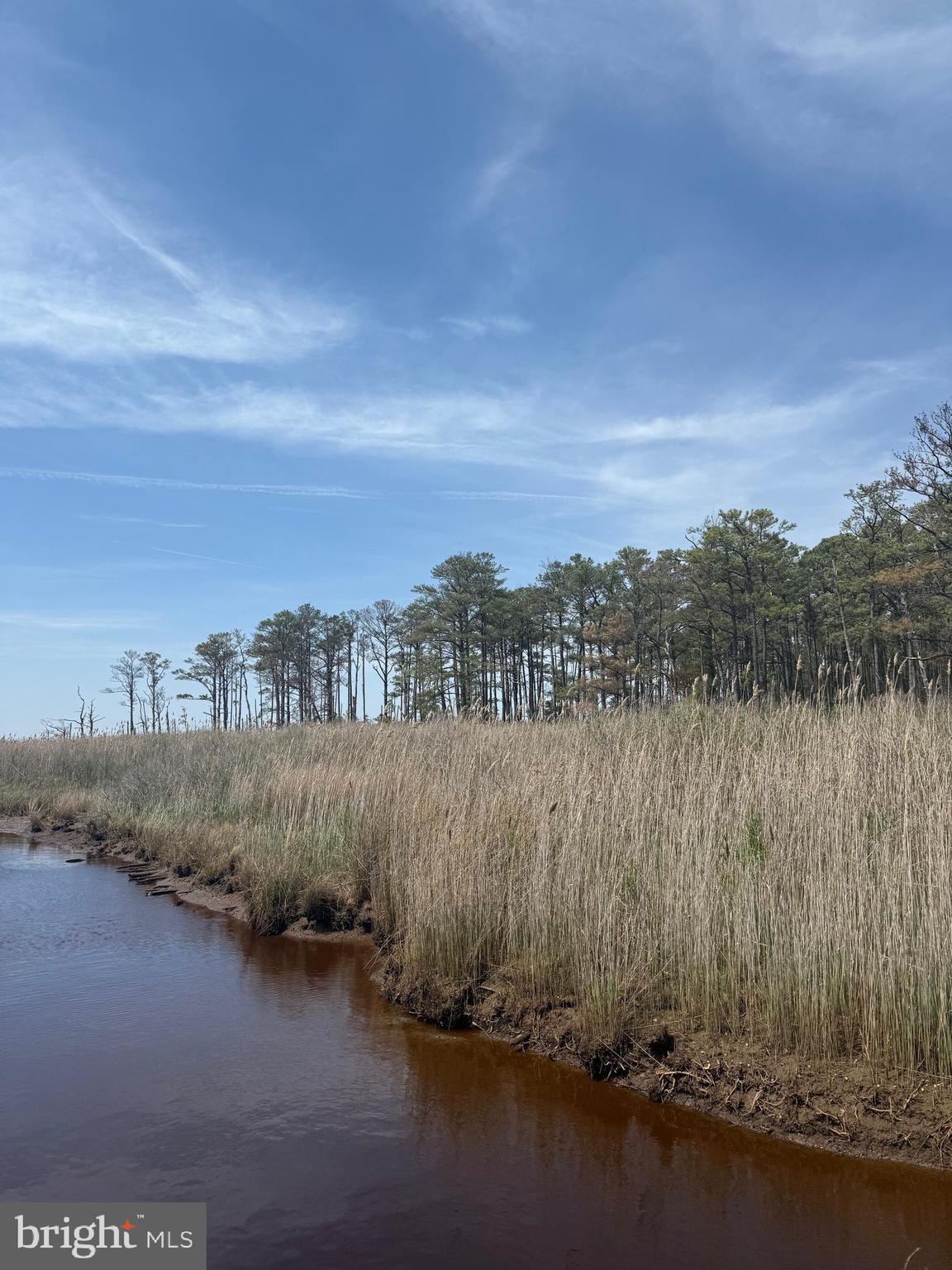 N/S ROUTE 16 - TAYLORS ISLAND ROAD
