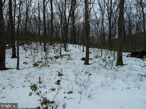 12025 NATIONAL PIKE