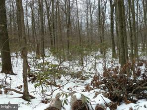 12025 NATIONAL PIKE