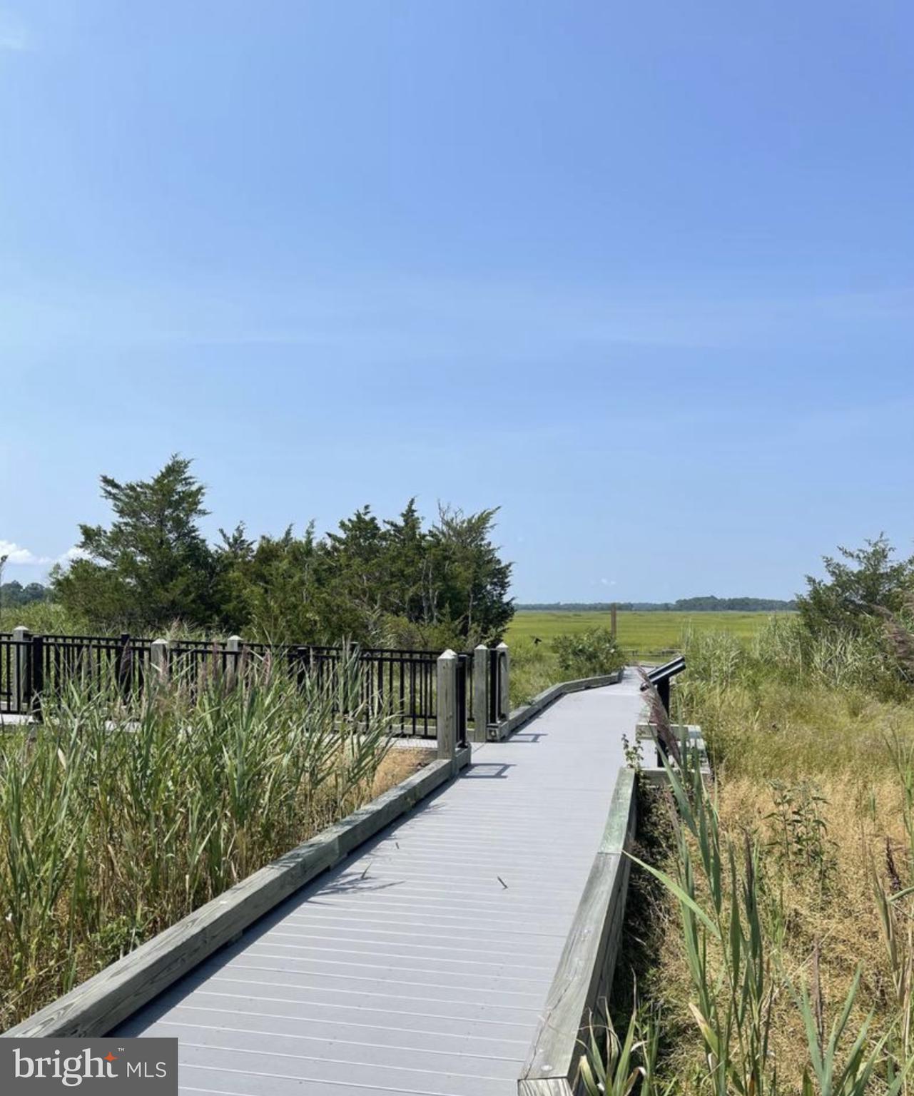 SLAUGHTER BEACH - Land