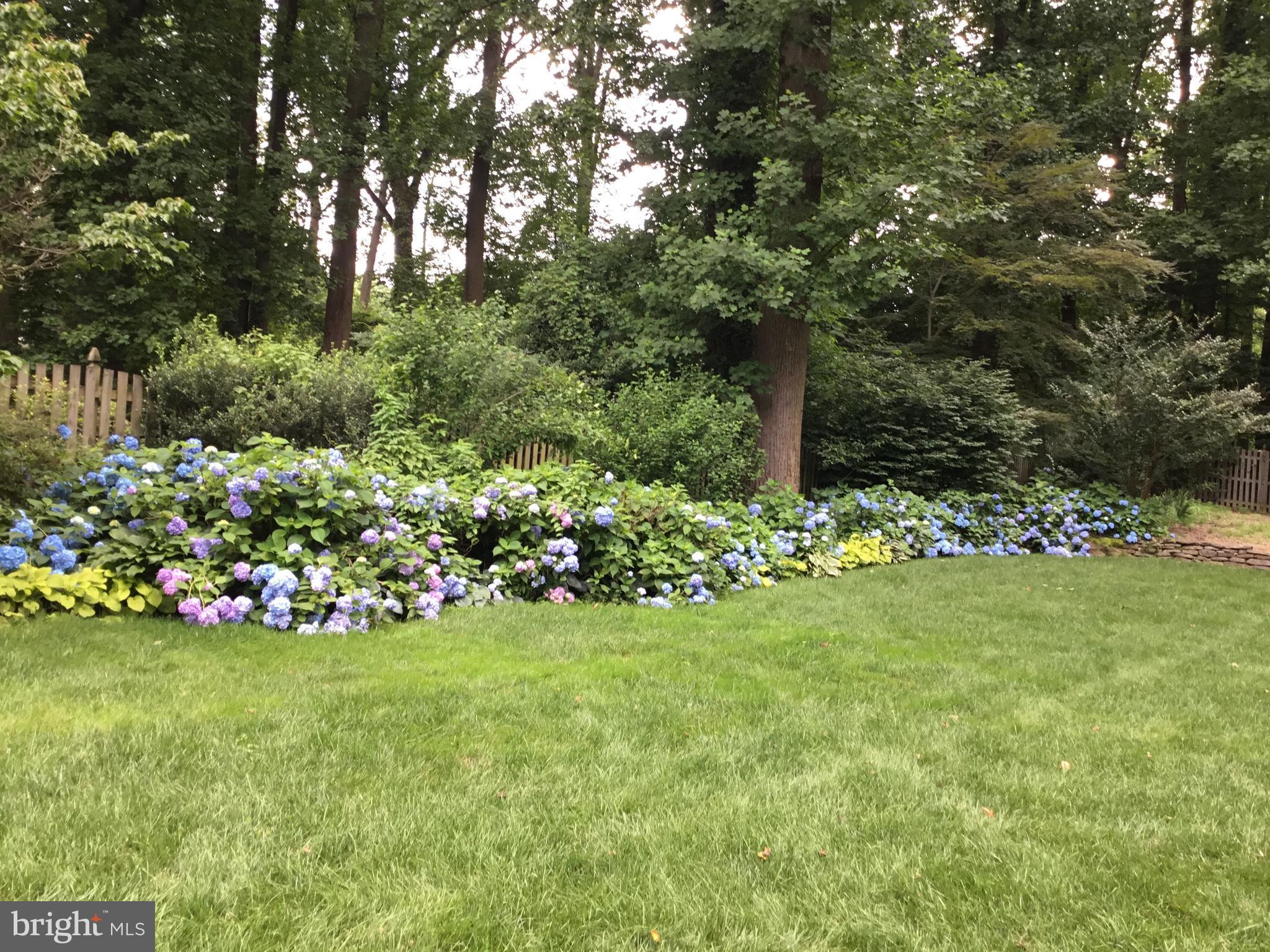 FRANKLIN PARK - Residential