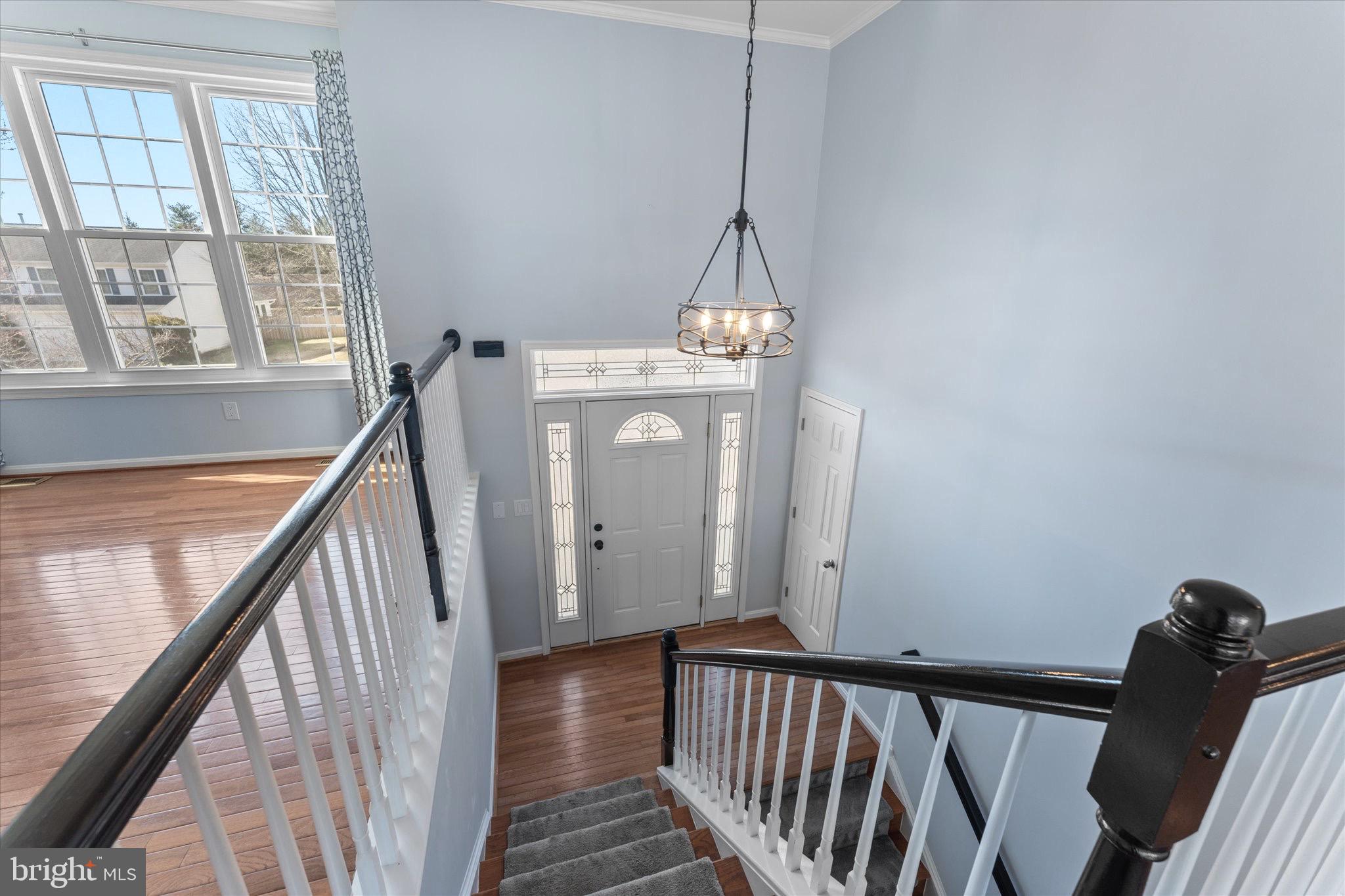 PINEBOROUGH ESTATES - Residential