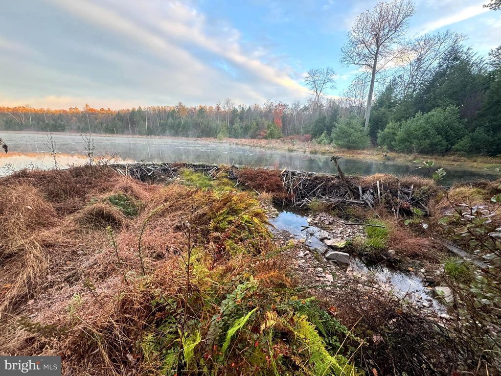 Photo of 0 Bethel Hill Road, SWEET VALLEY, PA 18656 (MLS # PALU2002676)