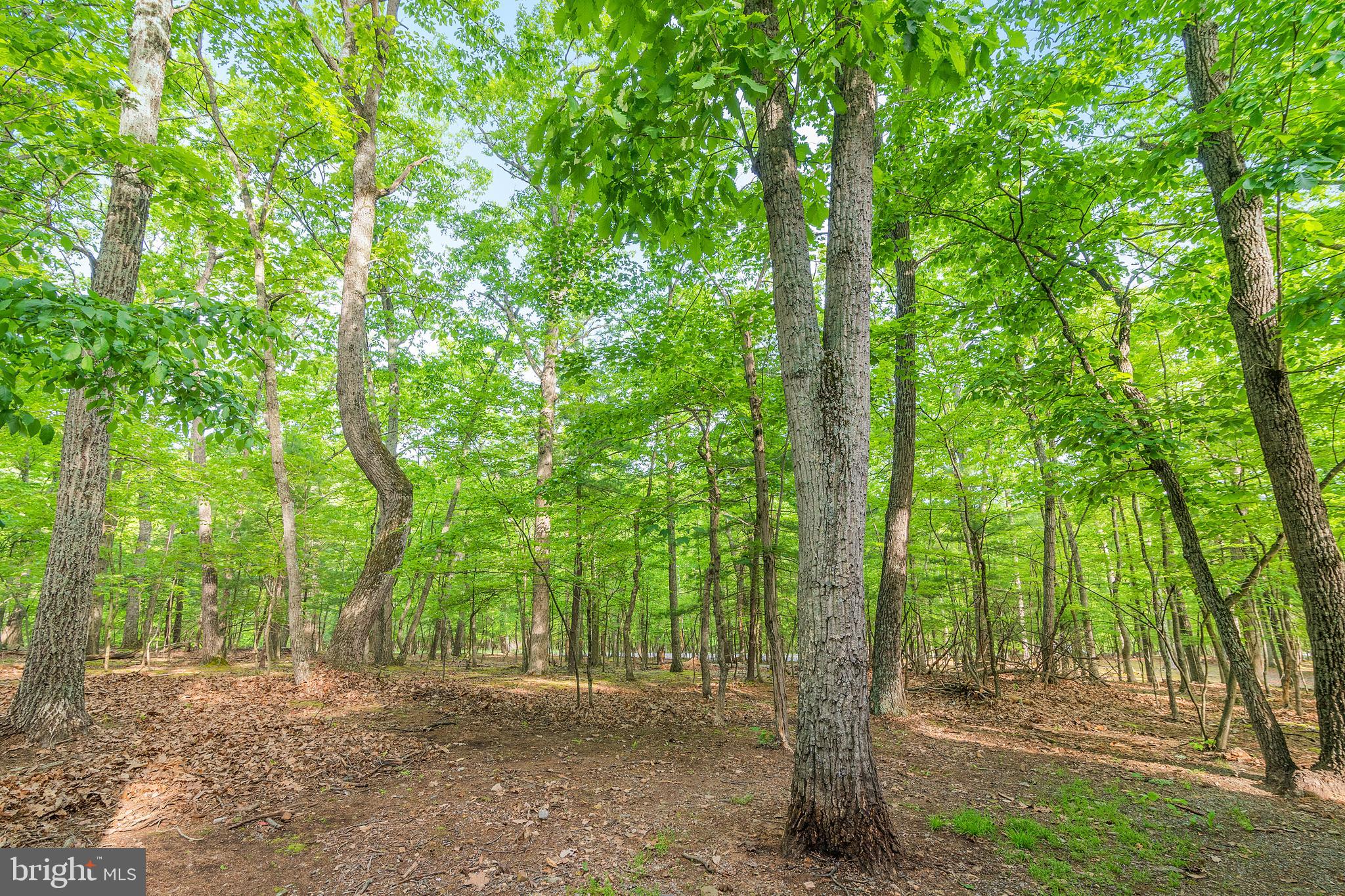 THE WOODS RESORT - Residential