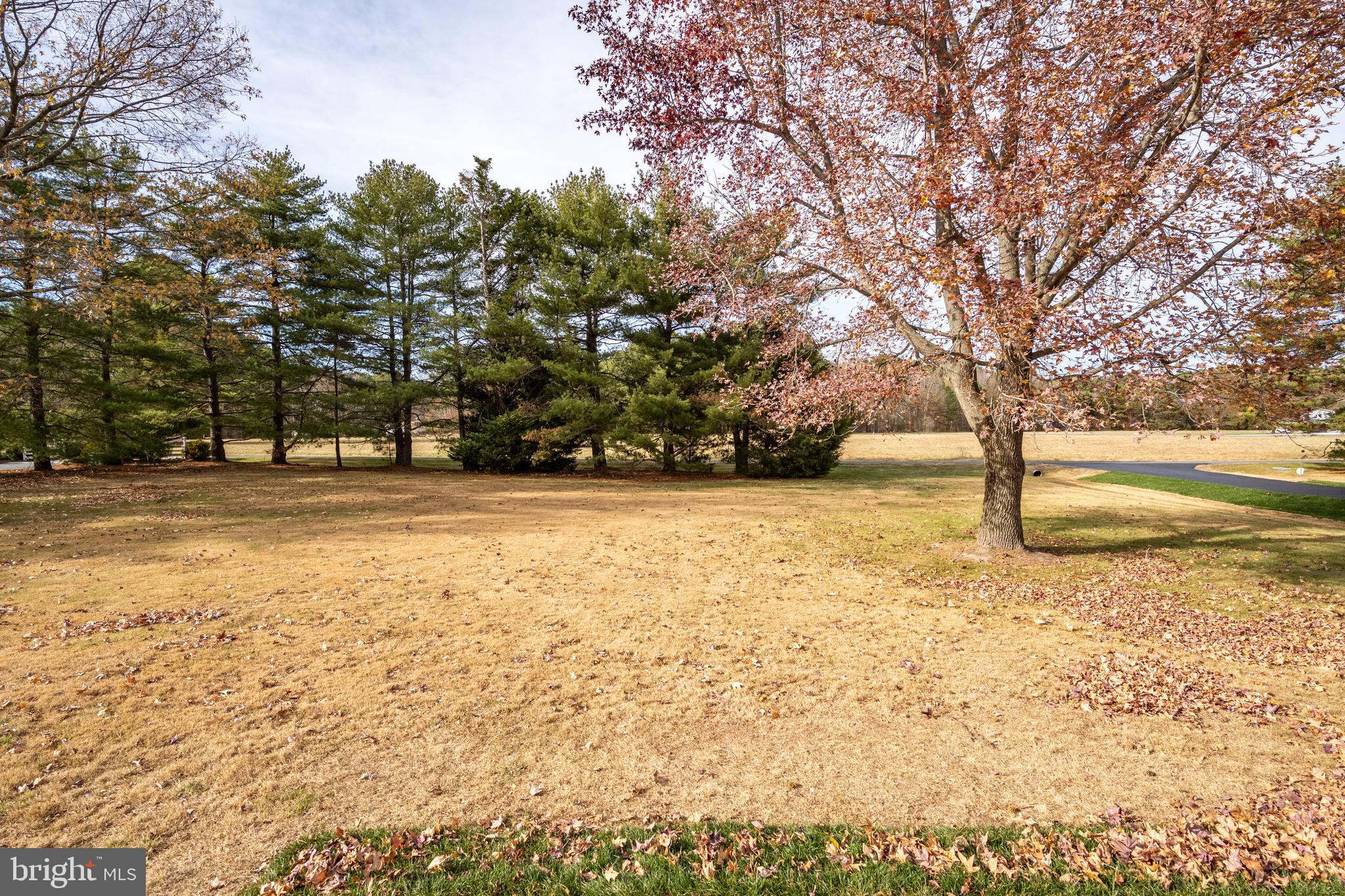 MALLARD POINT - Residential