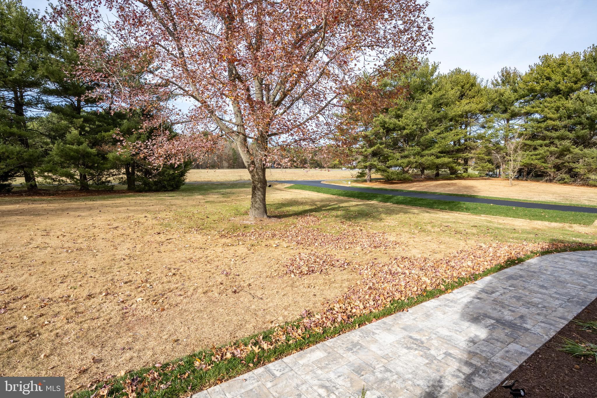 MALLARD POINT - Residential