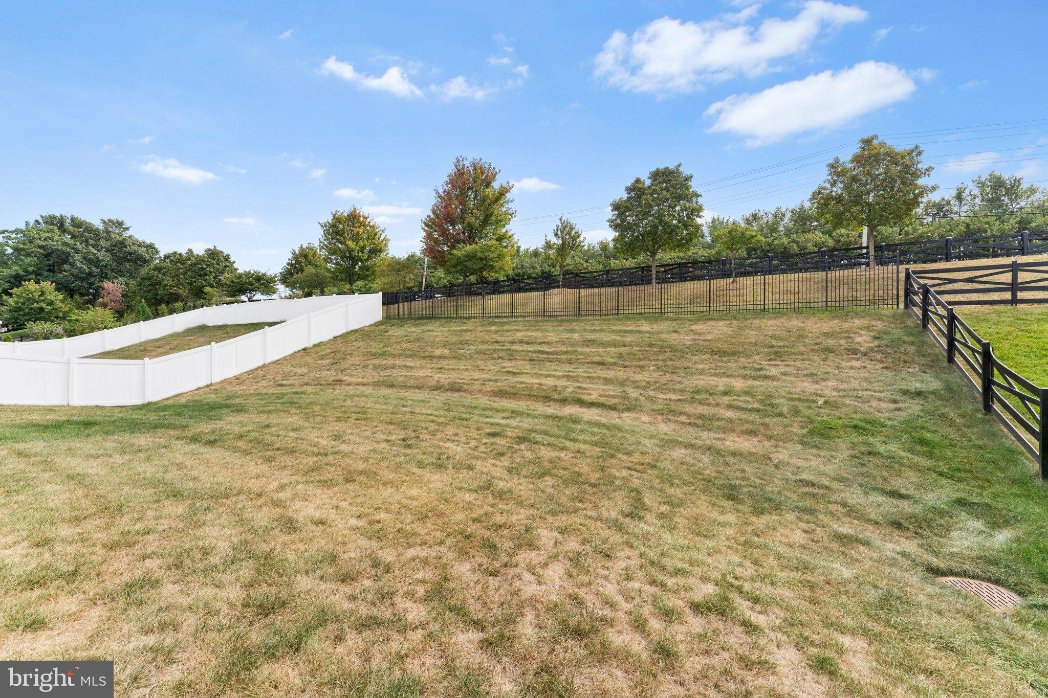 ABRAMS POINTE - Residential