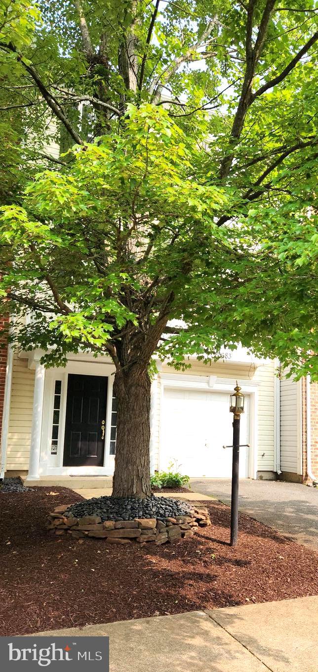 20683 WATERFALL BRANCH TERRACE
