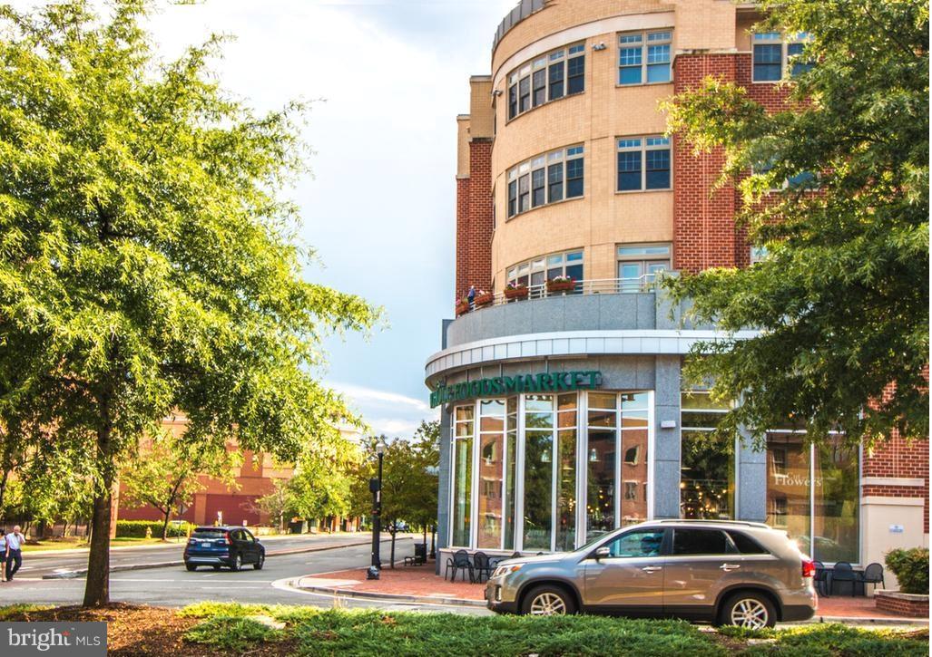 THE ROYALTON - Residential