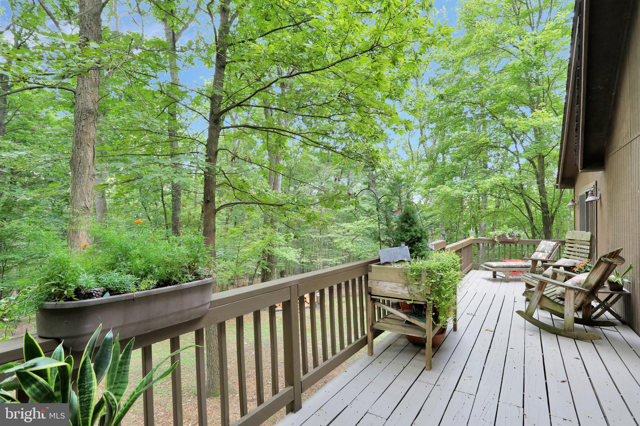 THE WOODS - Residential