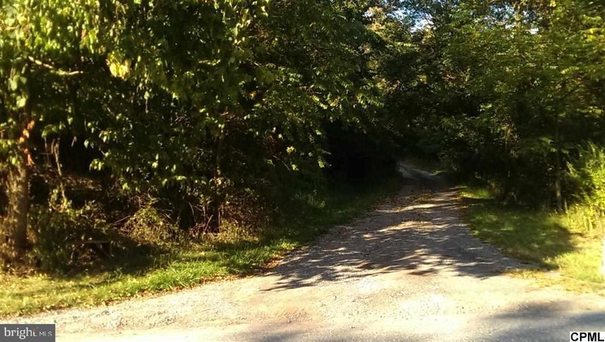 Convenient and prime location with nearly 6 acres of  wooded land. A level area is cleared and ready to showcase where a home could ideally be built. This is far off the main road for optimum privacy & the feeling of seclusion. Bring your ideas and your builder!