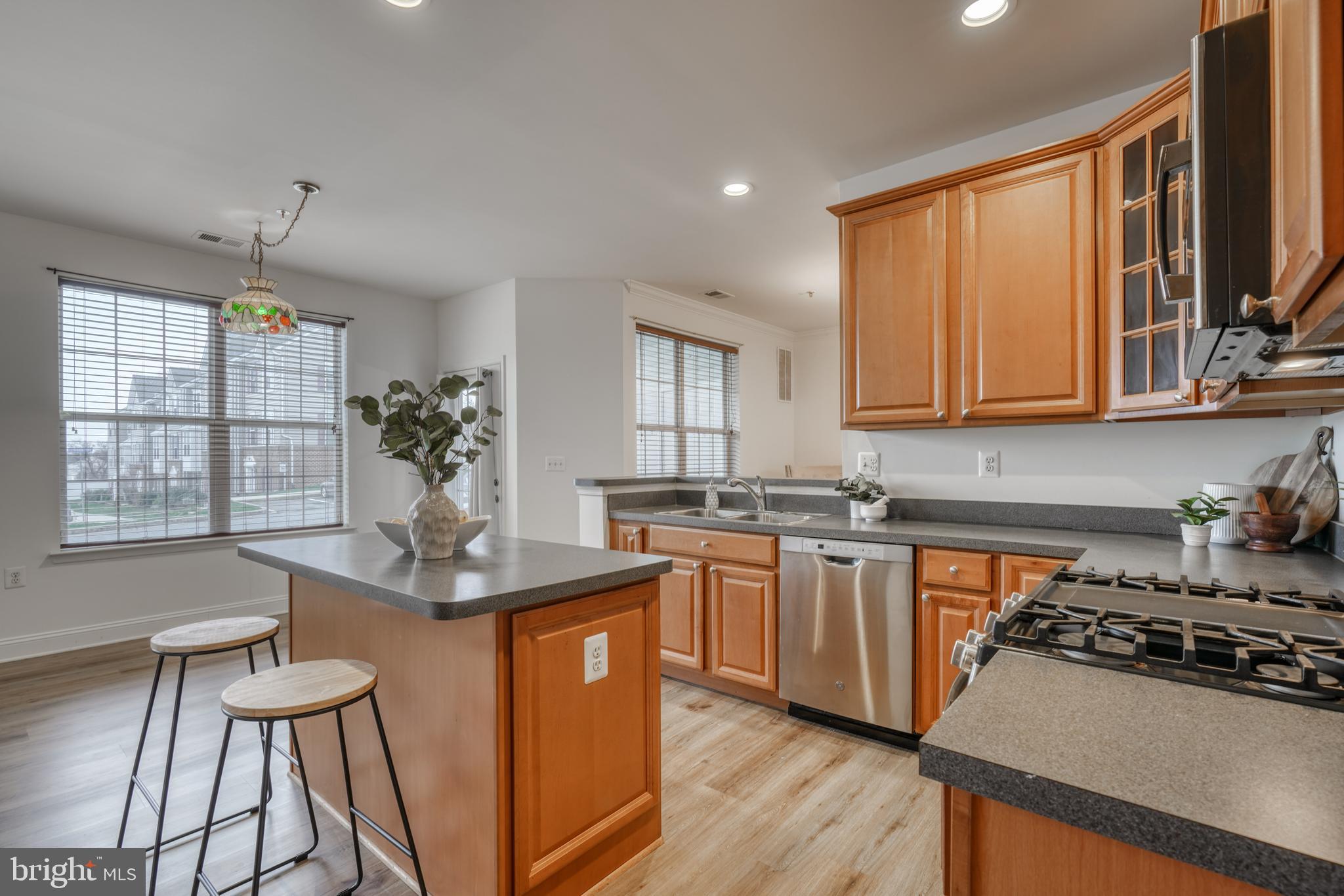 MONMOUTH MEADOWS - Residential