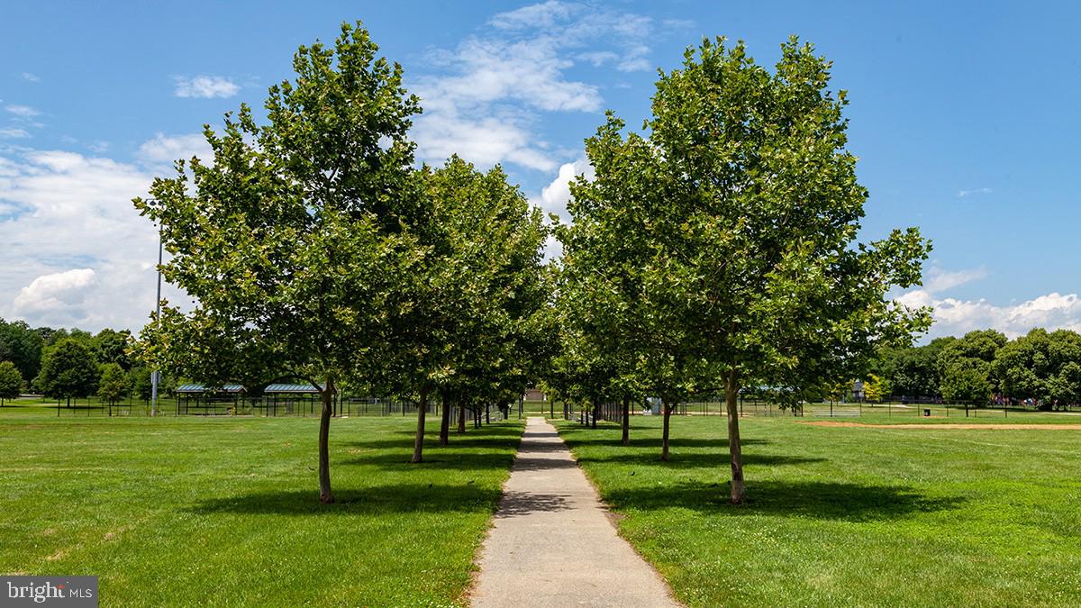PIGTOWN HISTORIC DISTRICT - Residential